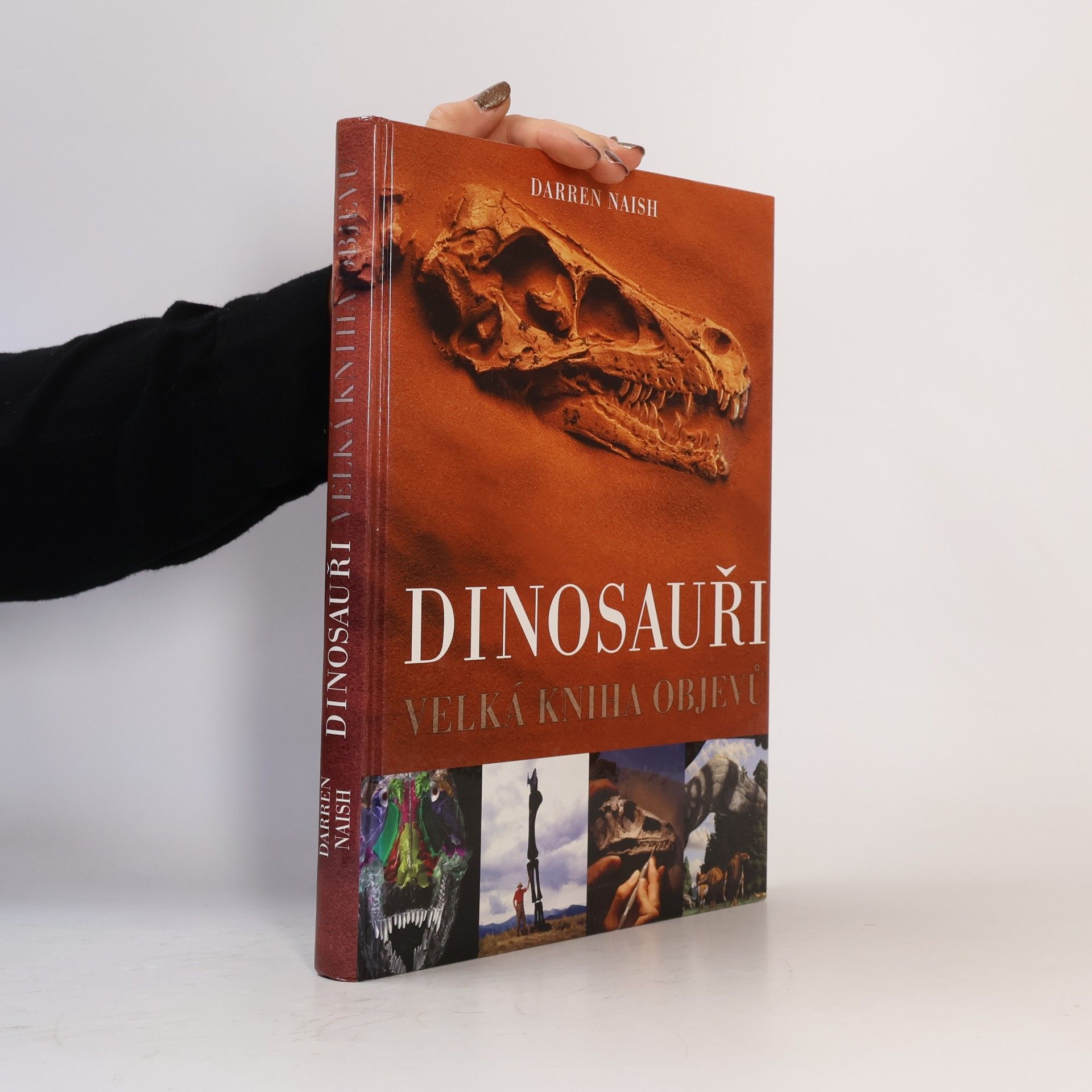Darren Naish Dinosauři: Velká kniha objevů