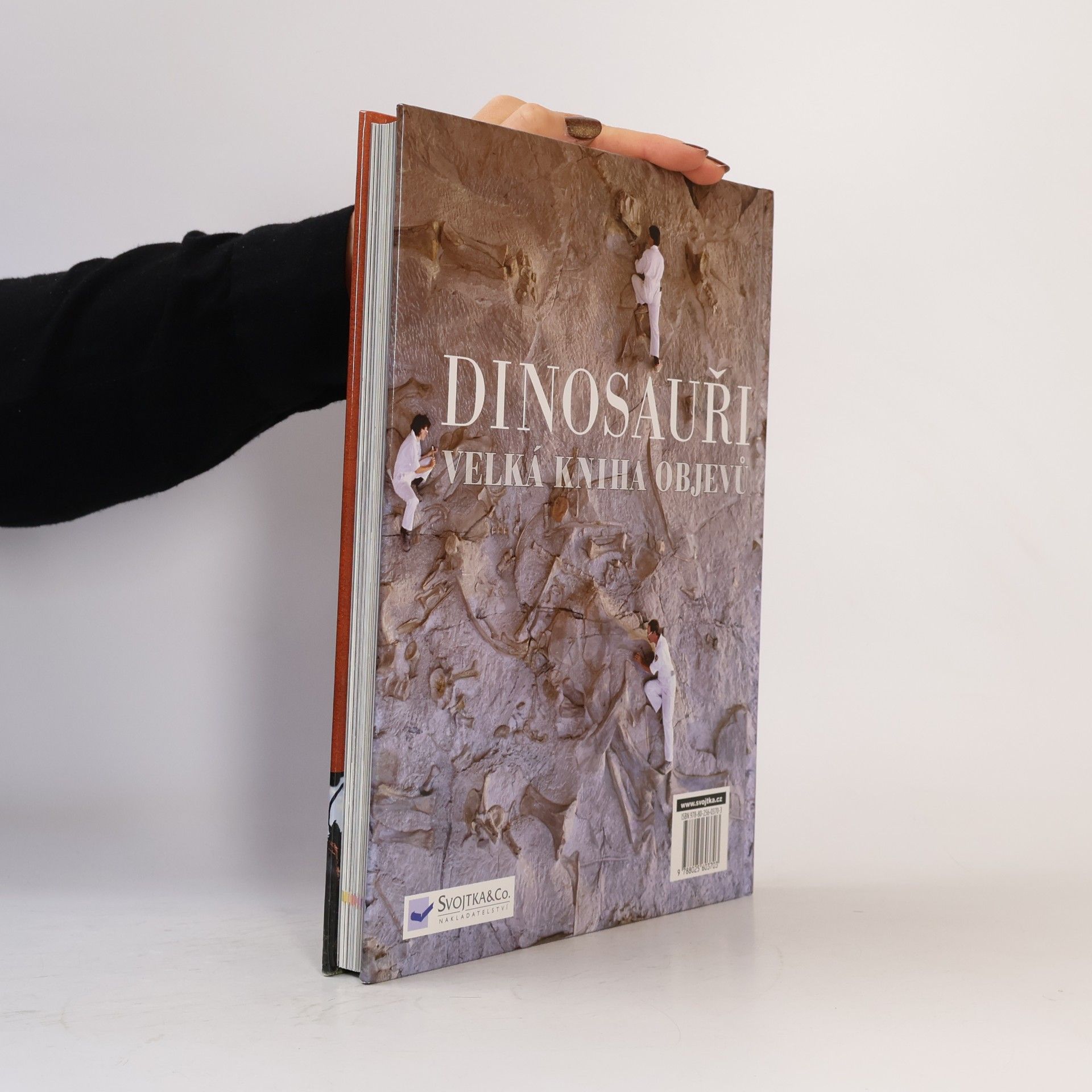 Darren Naish Dinosauři: Velká kniha objevů