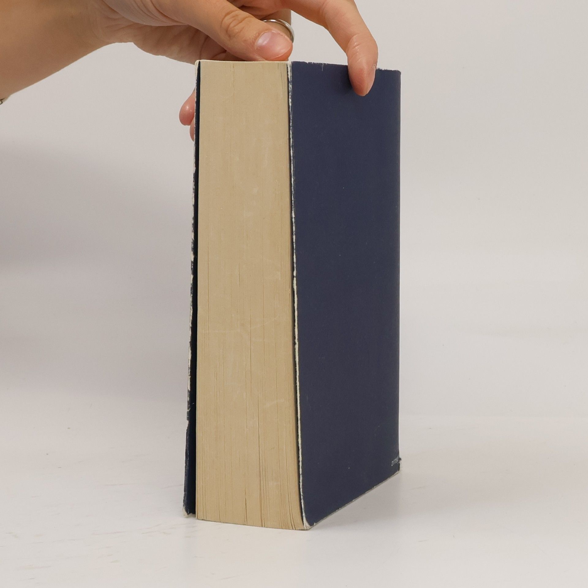 David Herbert Lawrence I Classici della BUR - 728: Donne innamorate