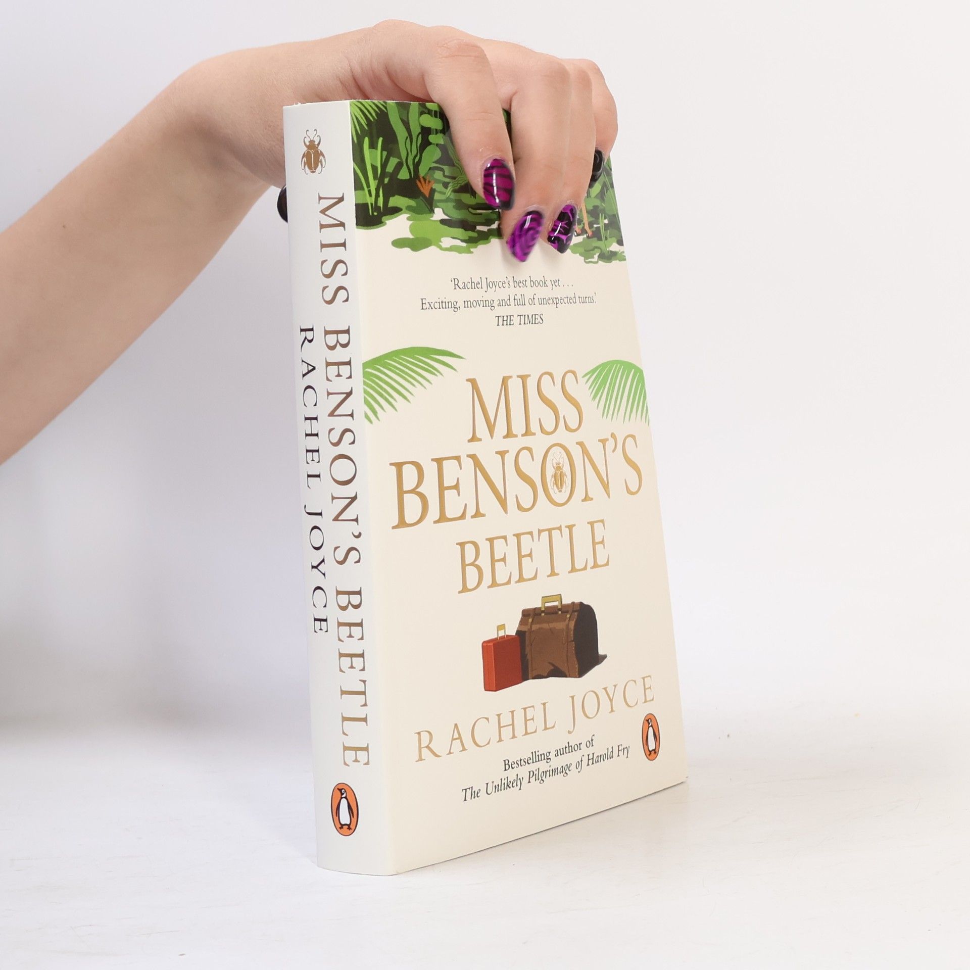 Rachel Joyce Miss Benson´s Beetle