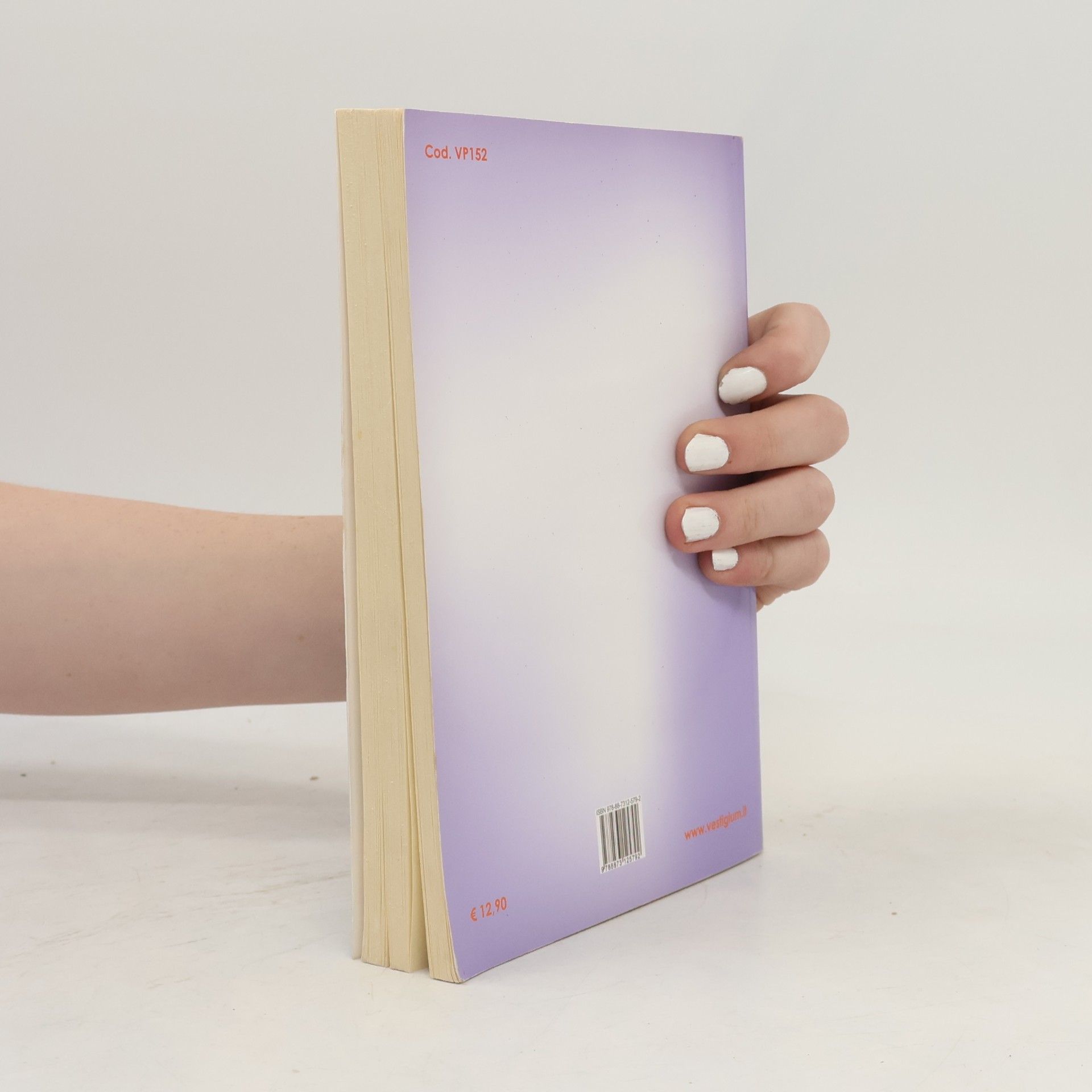 Annalisa Coviello I grandi libri: Il grande libro delle tesine per la scuola media