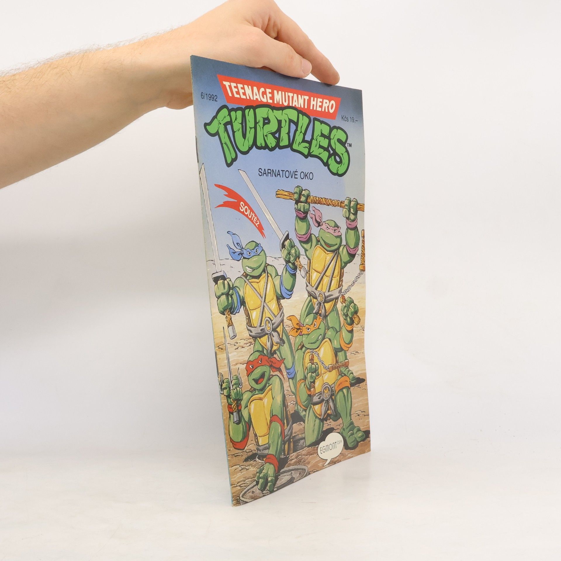 Beth Mitchroney Teenage Mutant Hero Turtles #06