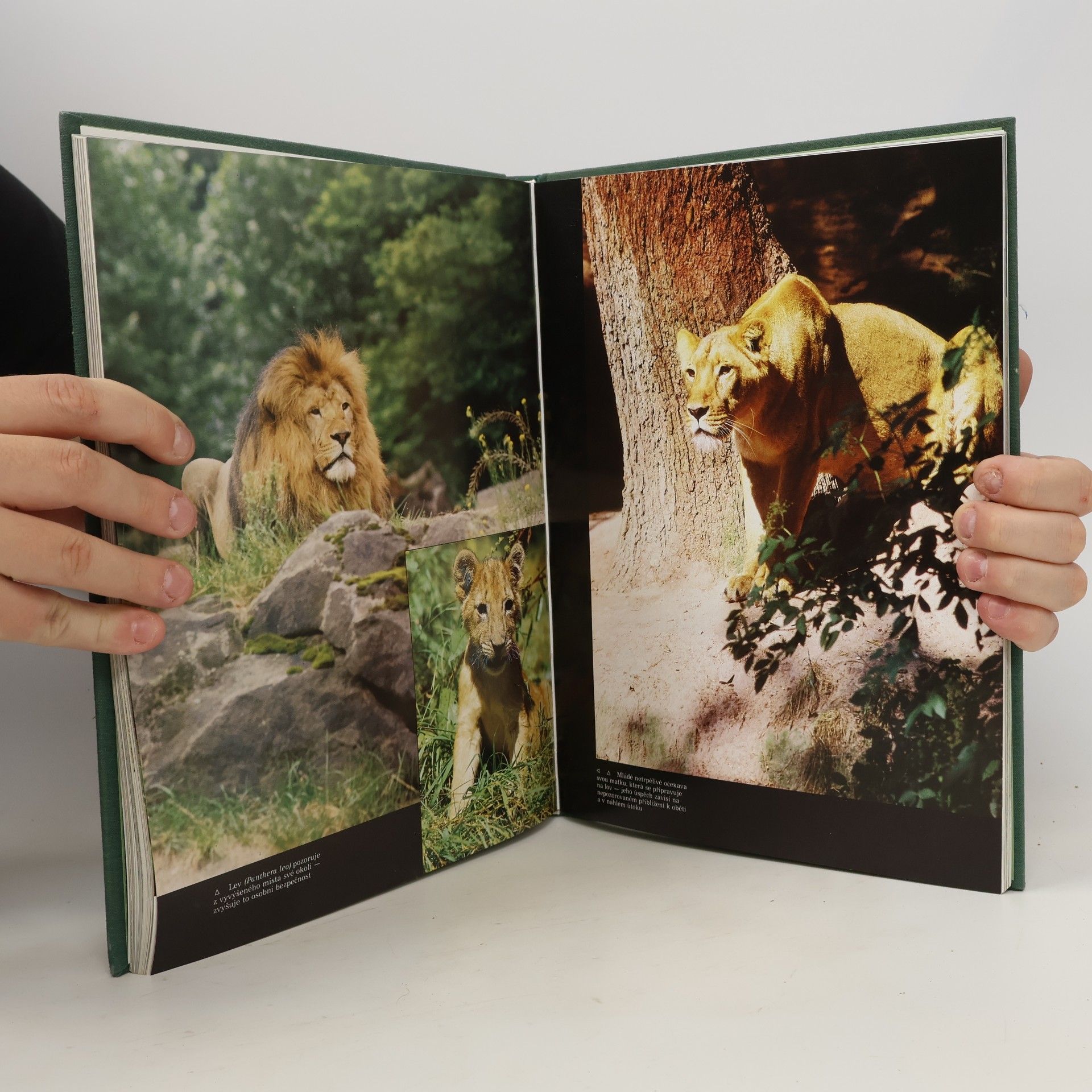 Zuzana Samková Zoo útočiště zvířat