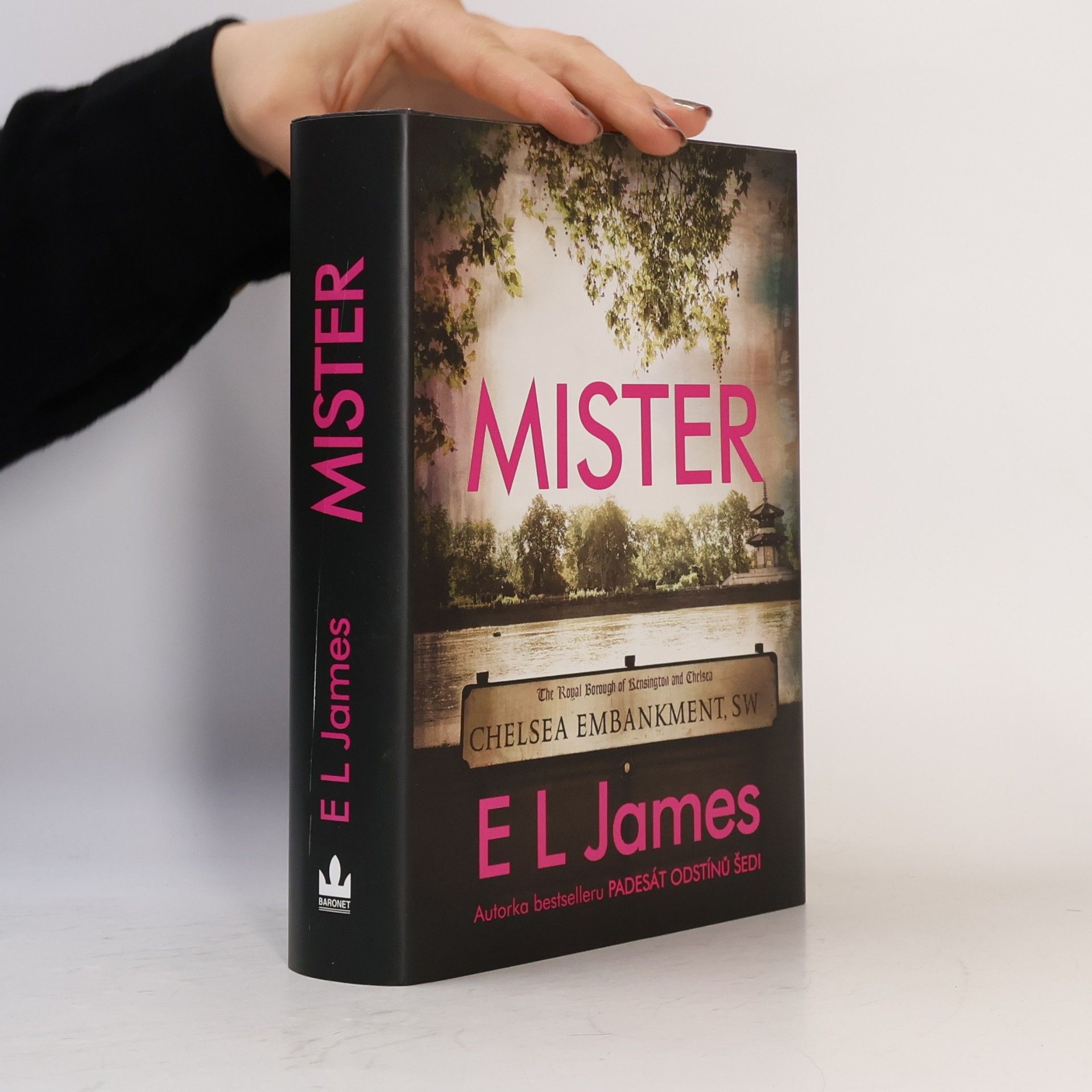 E. L. James Mister