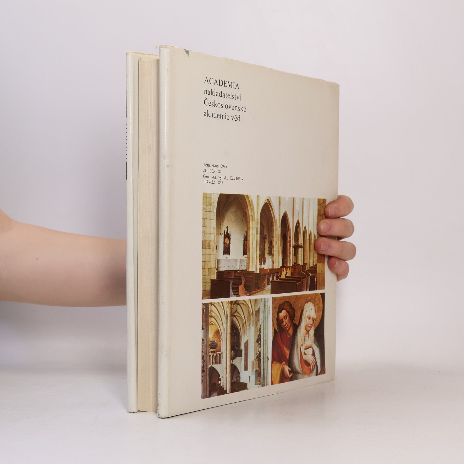 Collectif d'auteurs Umělecké památky Čech 4. T-Ž