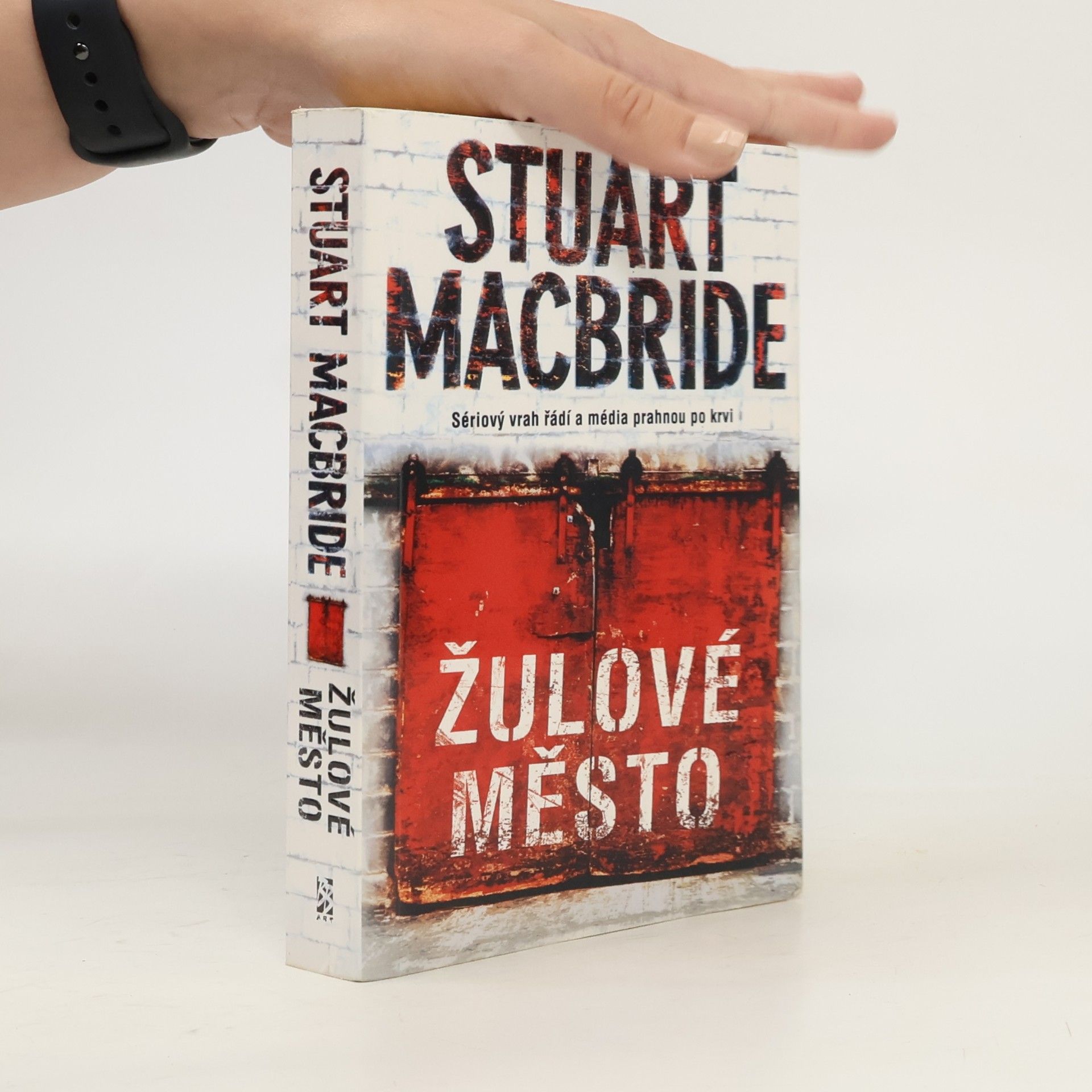 Stuart MacBride Žulové město