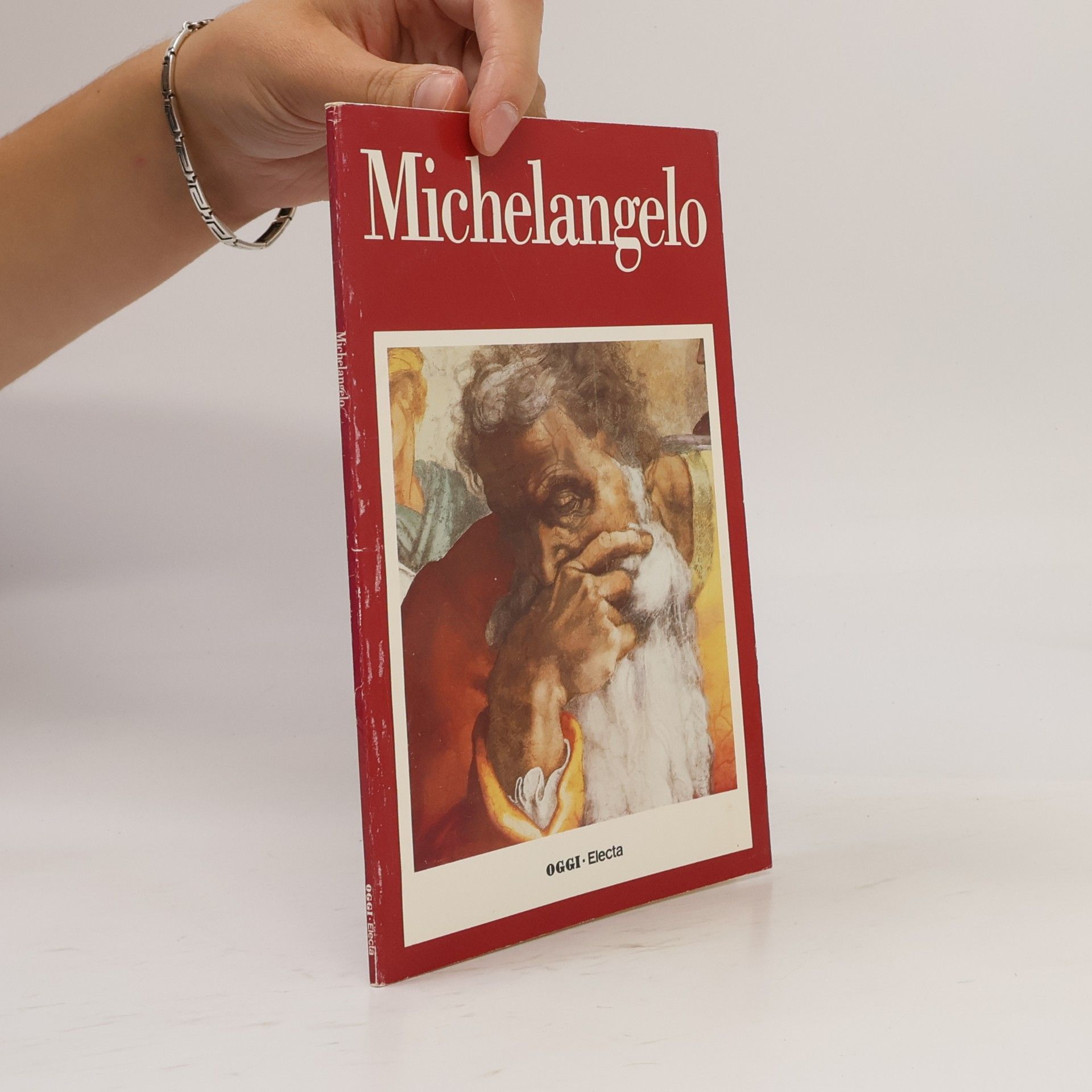 Collectif d'auteurs Michelangelo