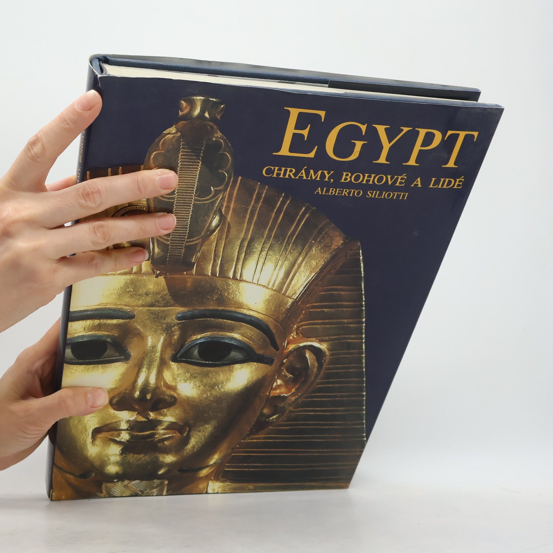 Alberto Siliotti Egypt. Chrámy, bohové a lidé