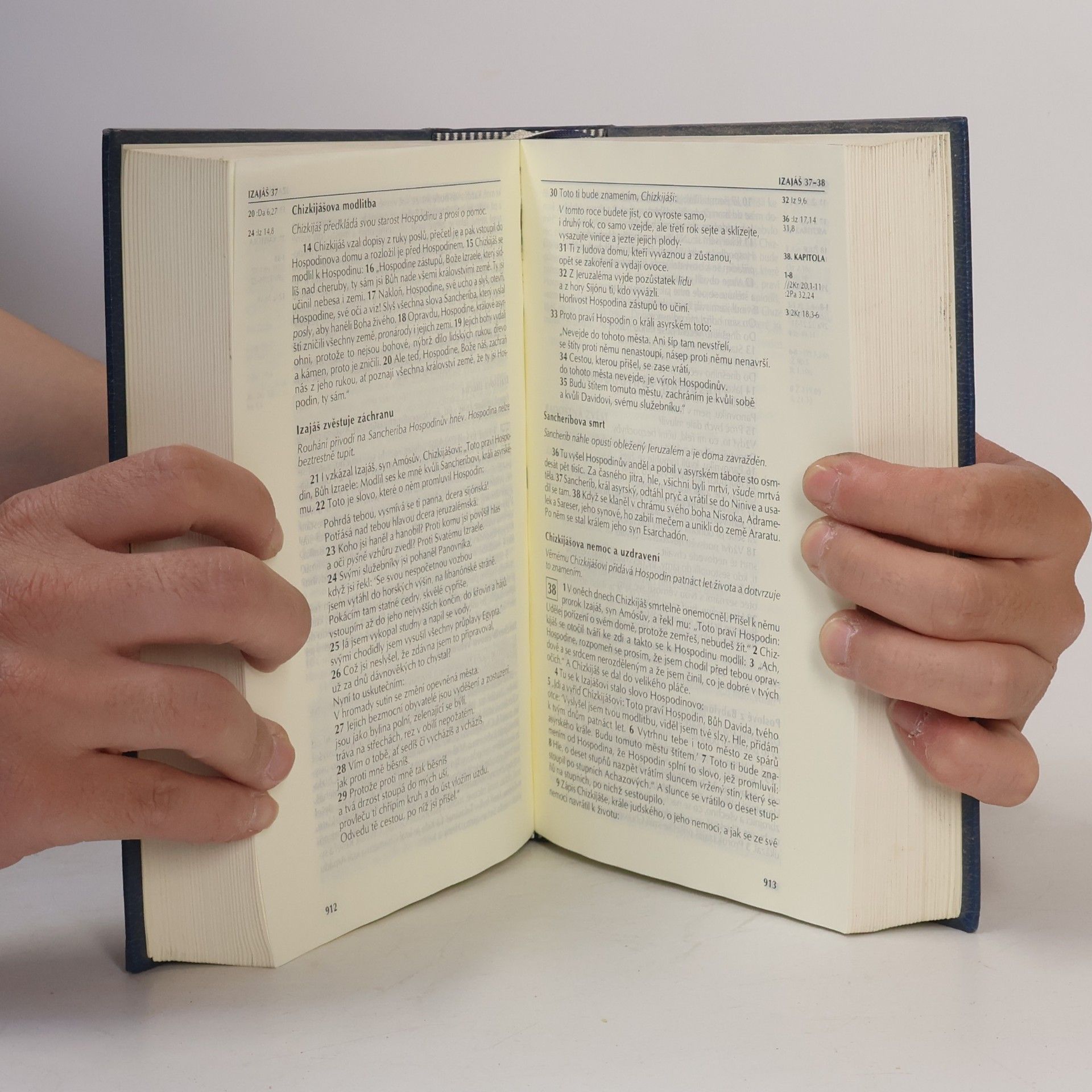 Various authors Bible : Písmo svaté Starého a Nového zákona (včetně deuterokanonických knih)