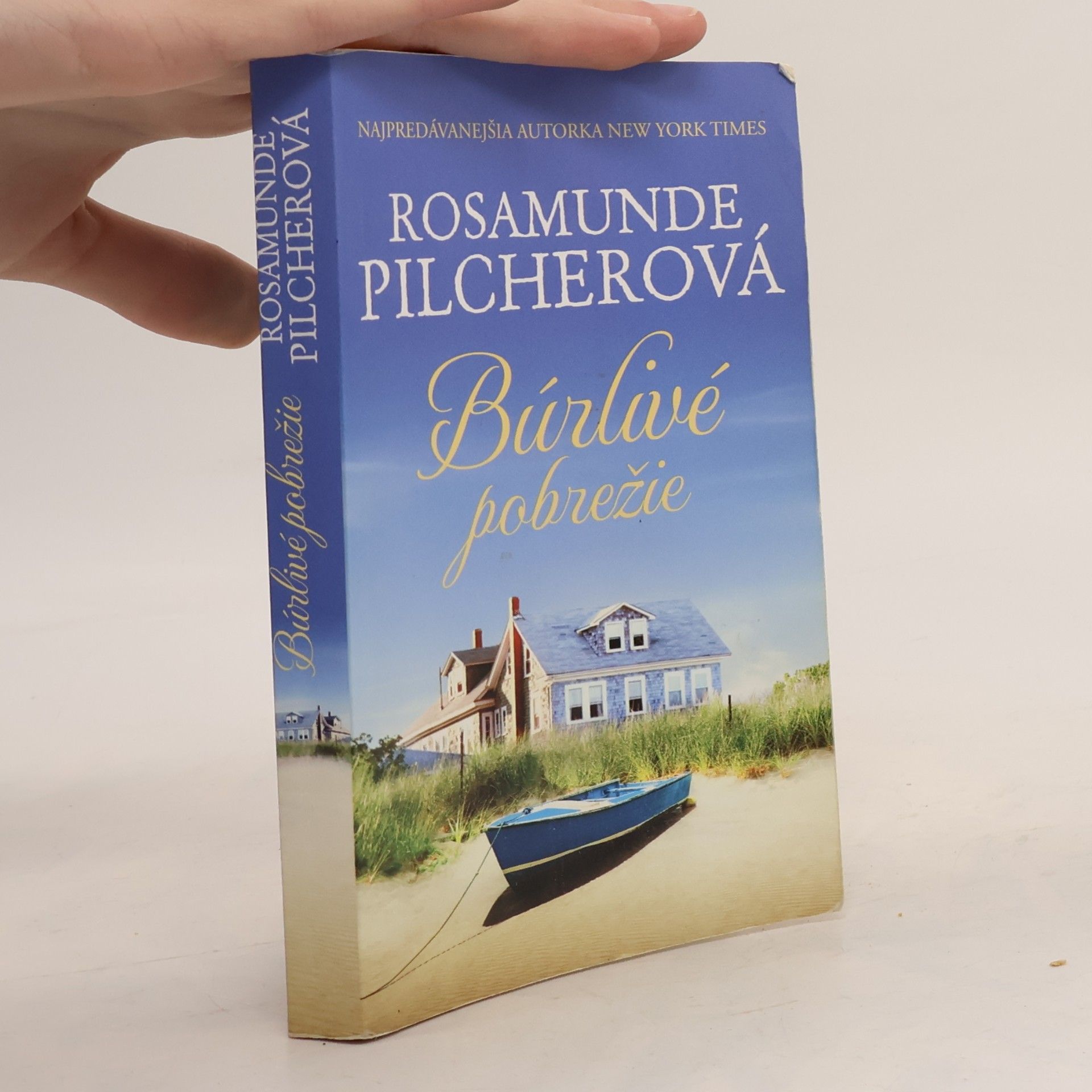 Búrlivé pobrežie