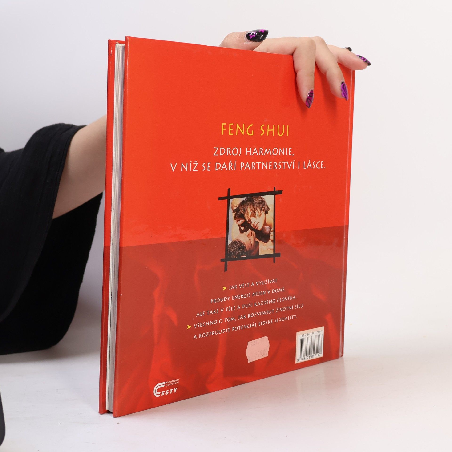 Günther Sator Feng shui. Harmonie v partnerství a lásce