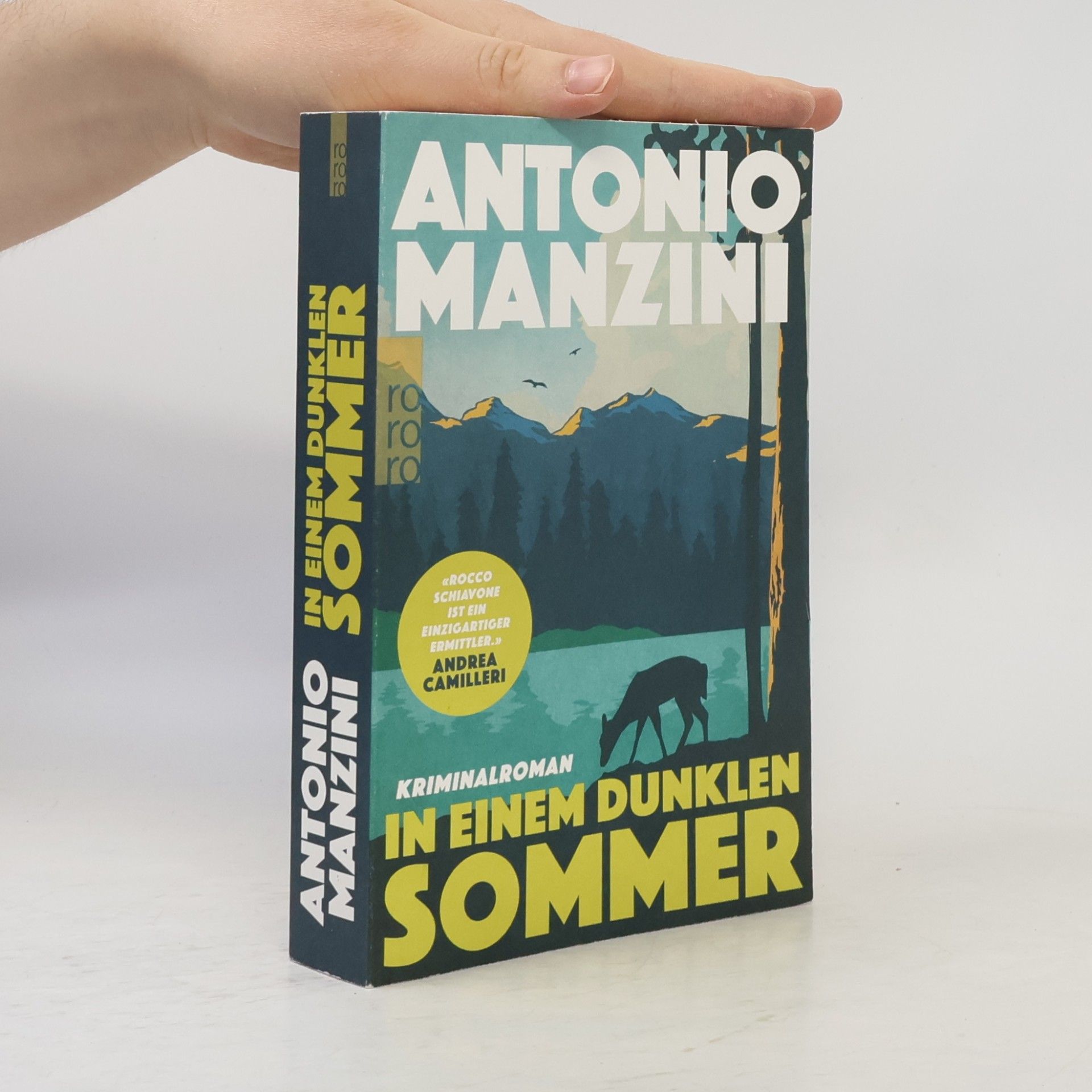 In einem dunklen Sommer