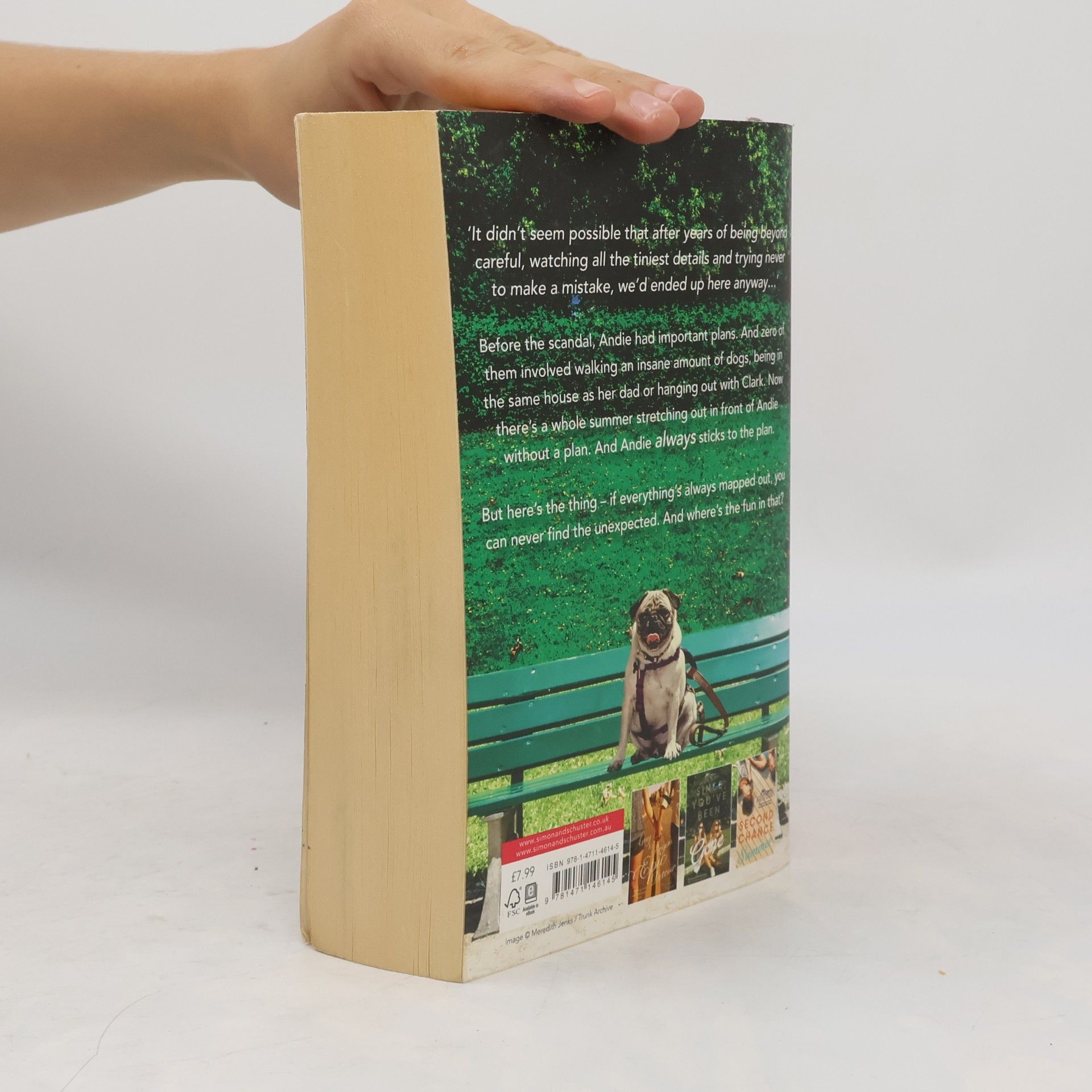 Morgan Matson The Unexpected Everything