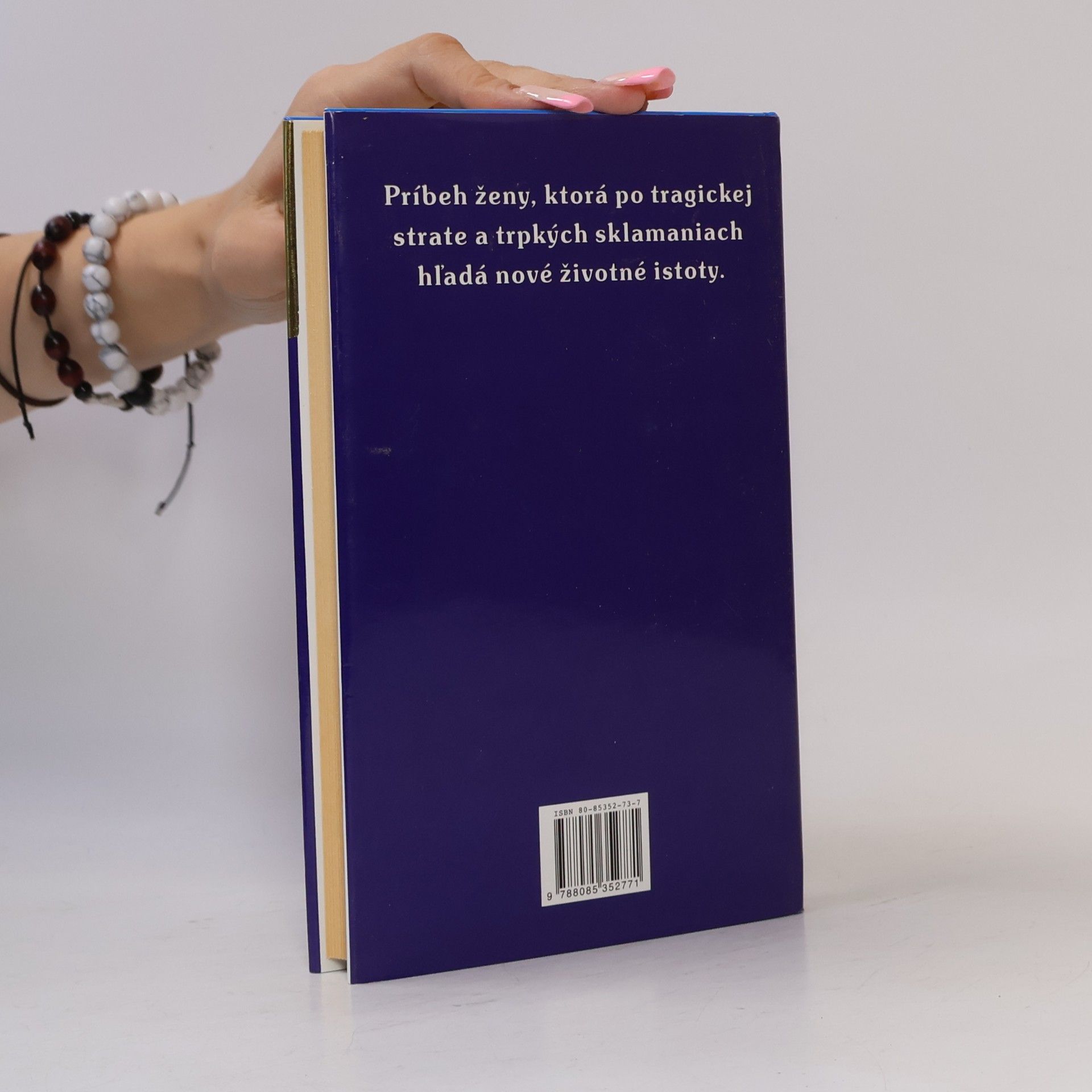 Danielle Steel Koniec leta