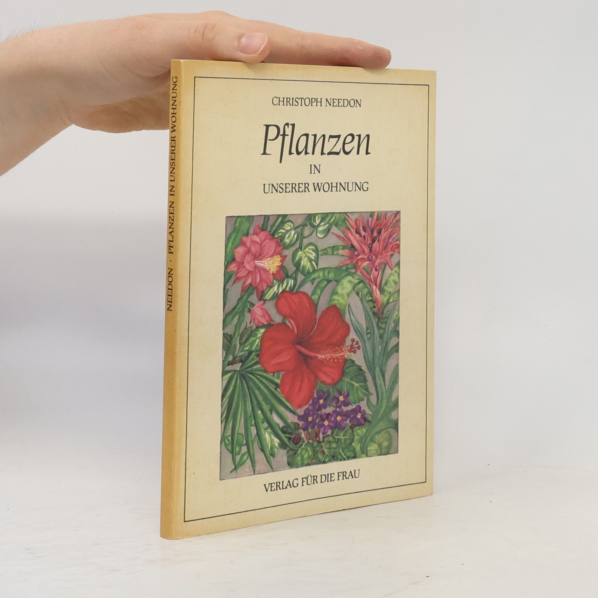 Christoph Needon Pflanzen in unserer Wohnung