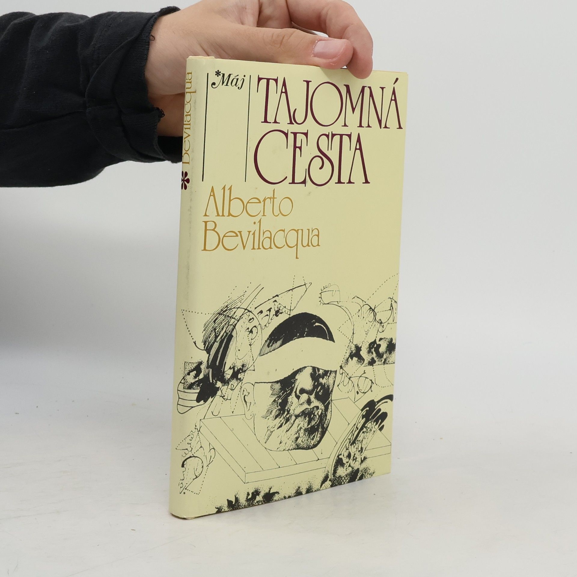 Alberto Bevilacqua Tajomná cesta