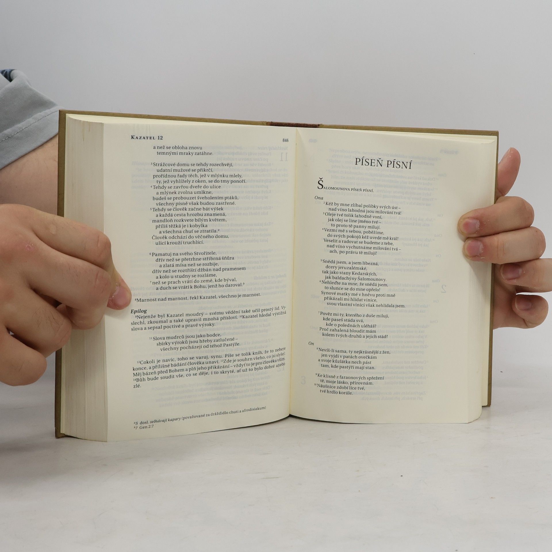 Alexandr Flek Bible. Překlad 21. století