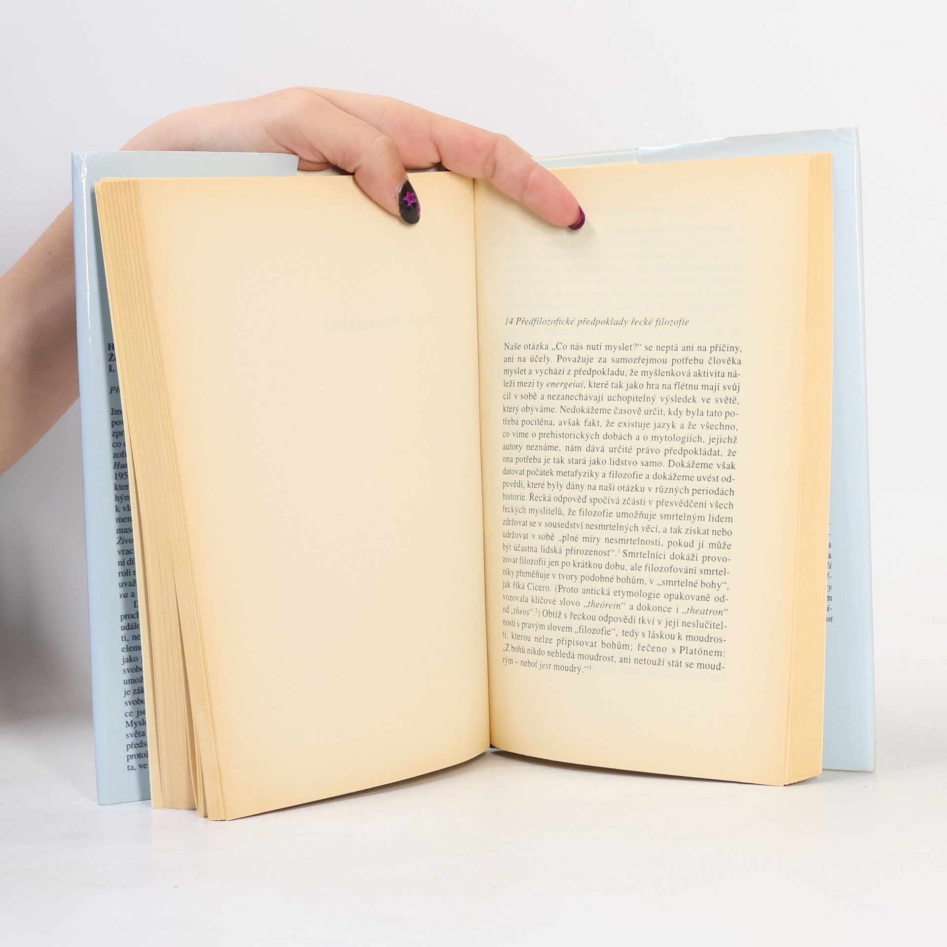 Hannah Arendt Život ducha. I. díl, Myšlení