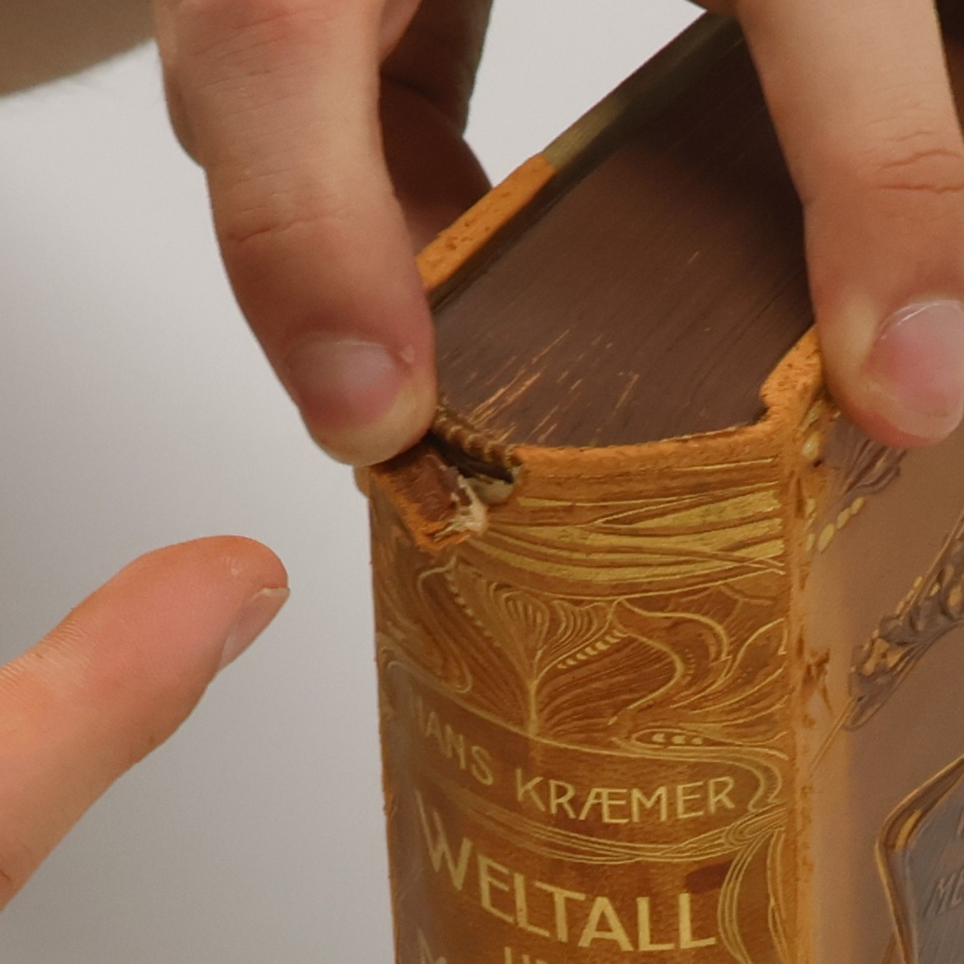 Hans Kraemer Weltall und Menschheit IV.