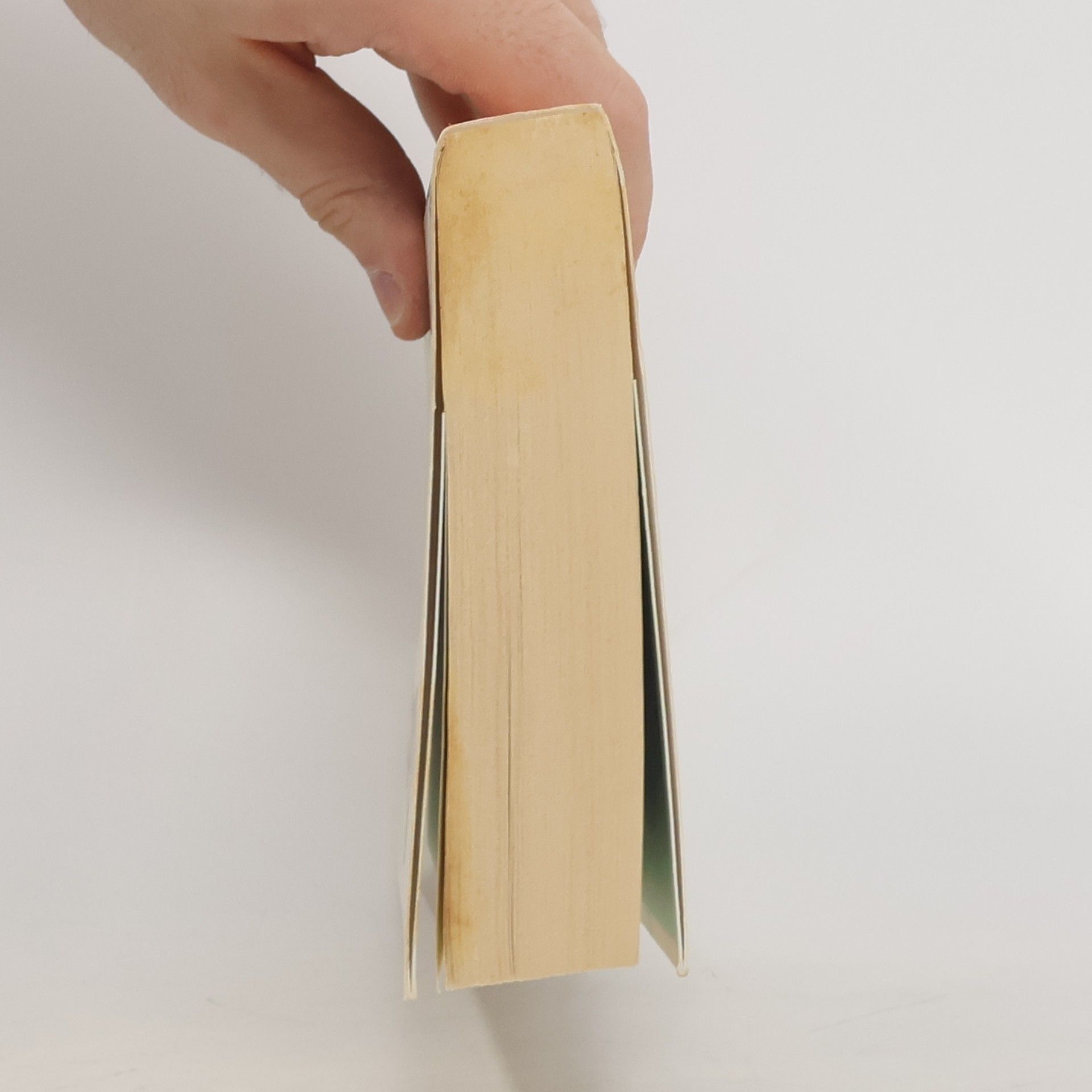 Becky Albertalli Co když jsme to my