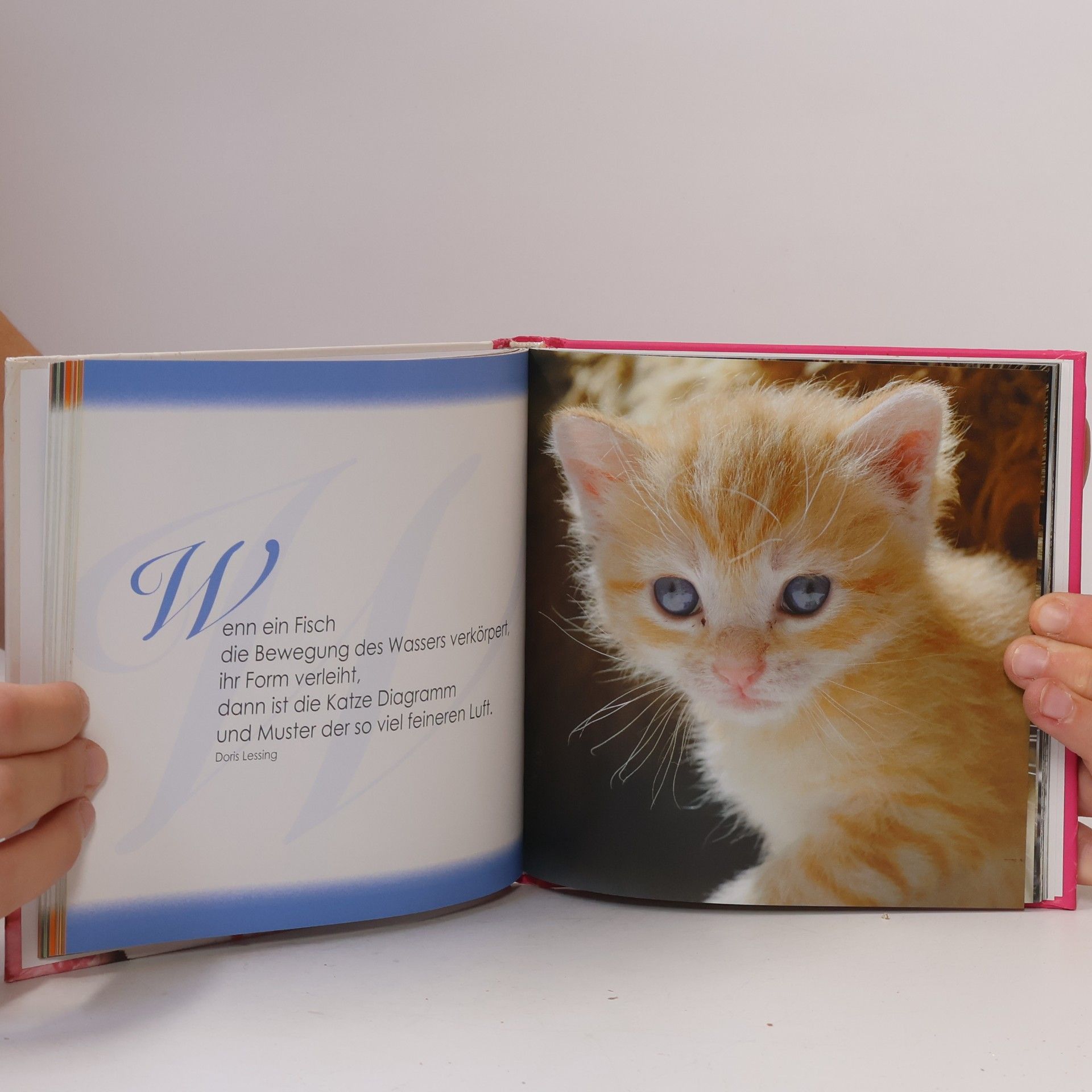 Für Katzenliebhaber