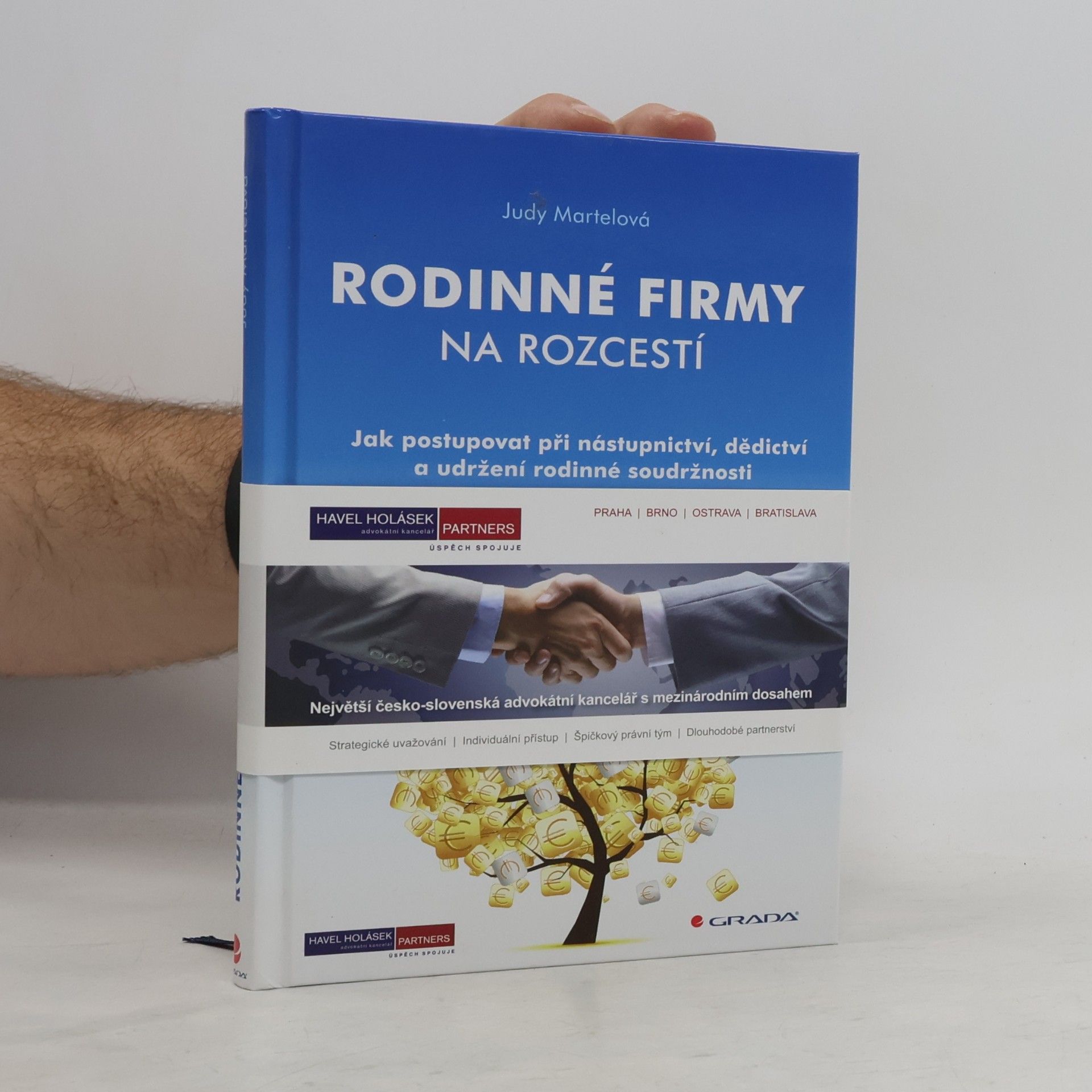 Judy Martel Rodinné firmy na rozcestí