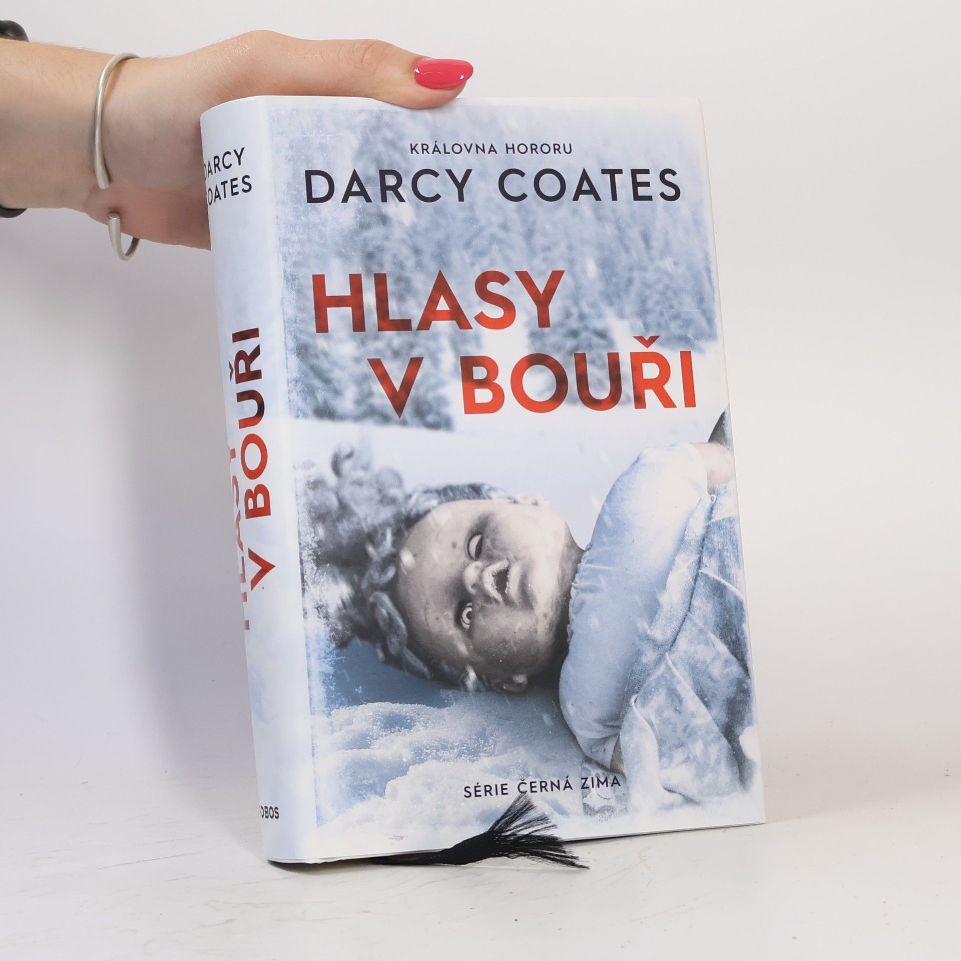 Darcy Coates Hlasy v bouři