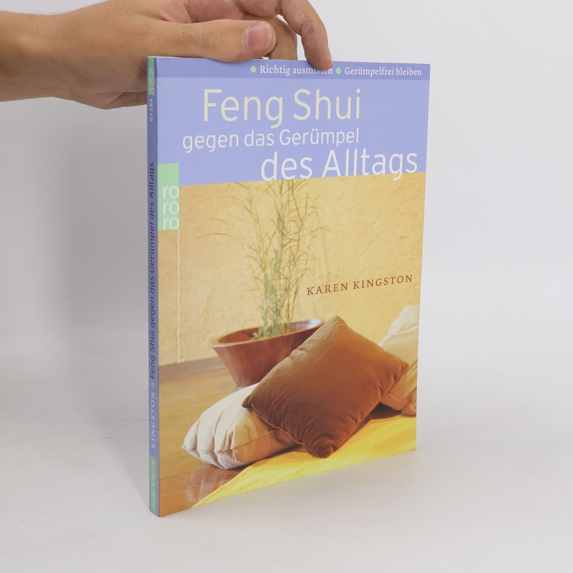 Karen Kingston Feng shui