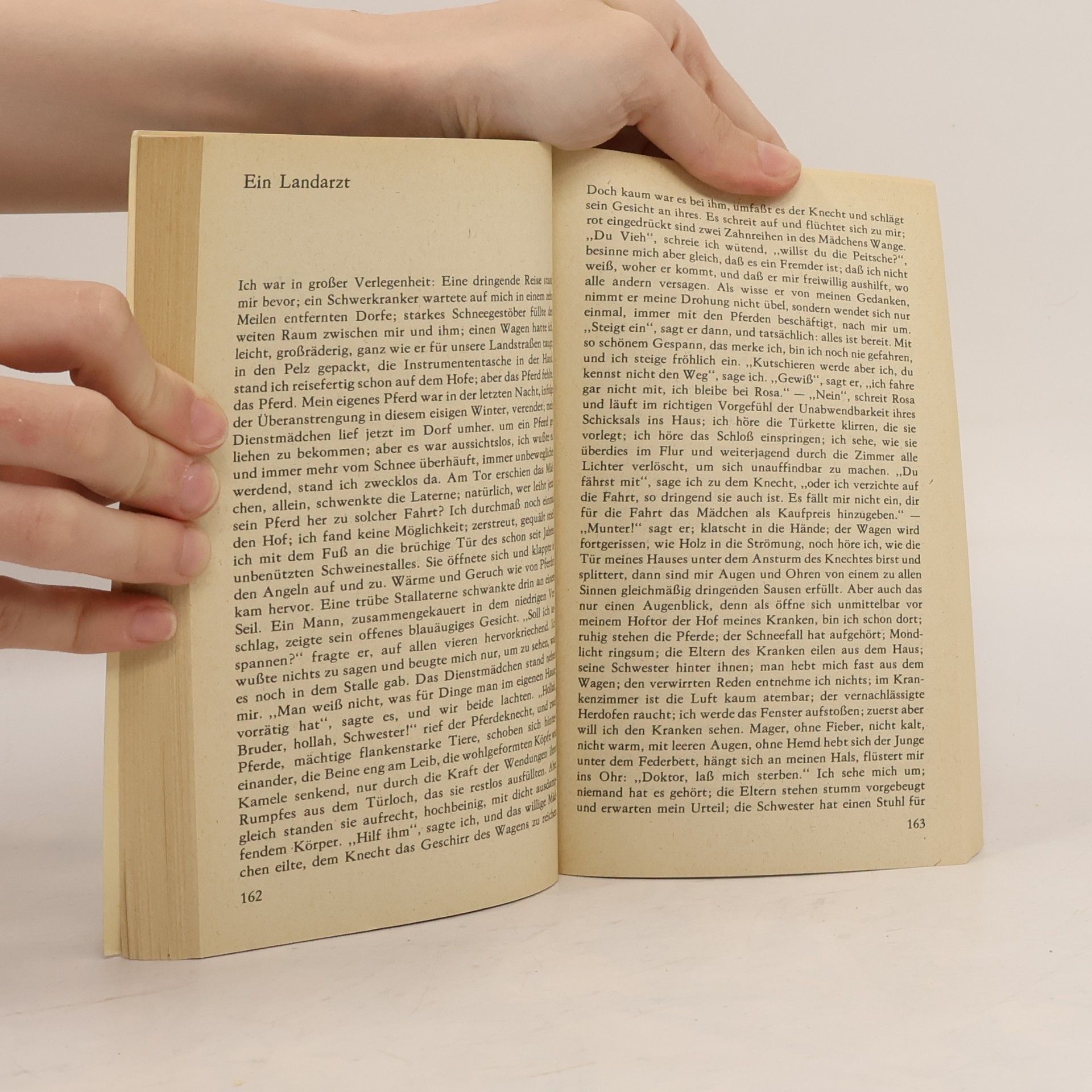 Franz Kafka Erzählungen