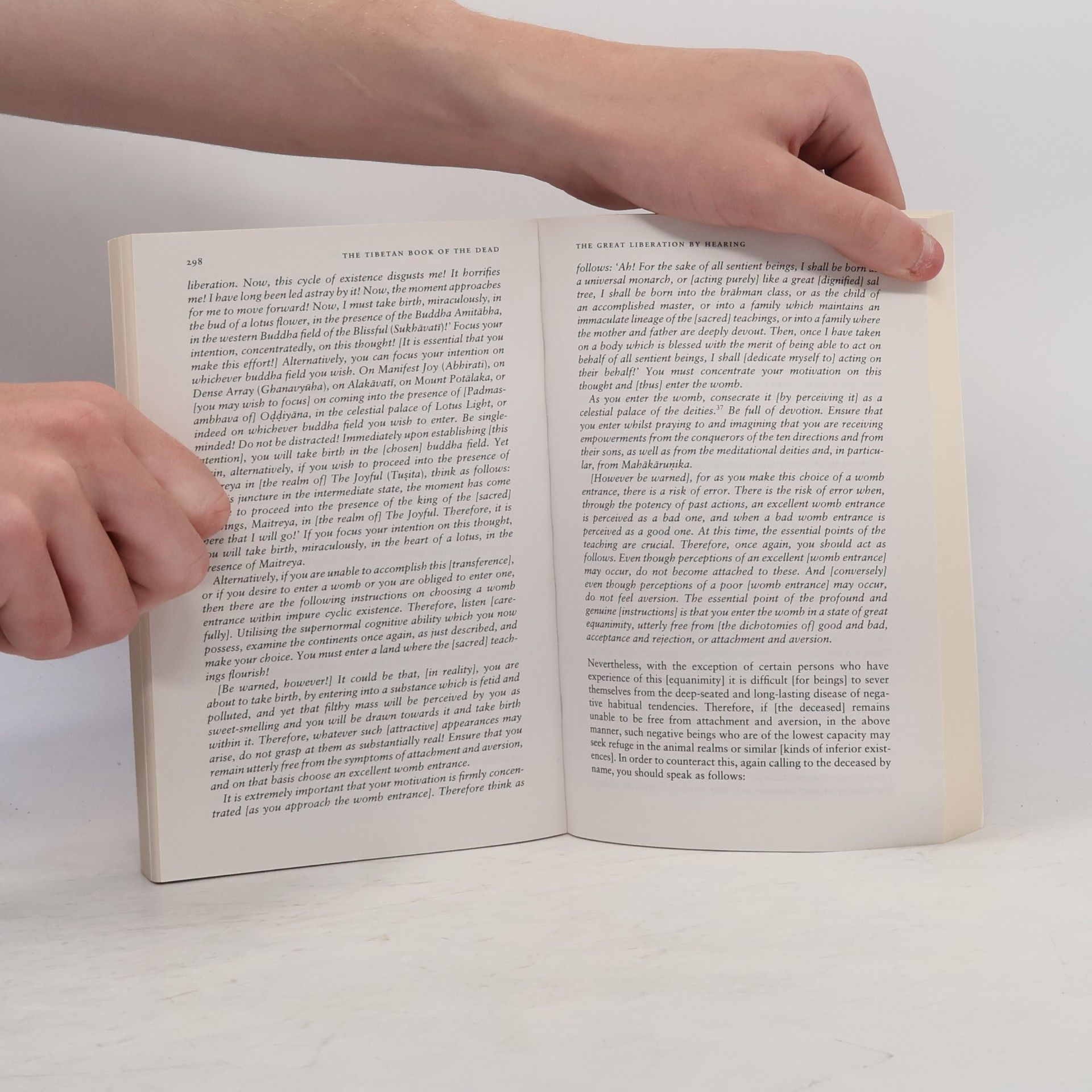 Kolektiv autorů The Tibetan Book of the Dead