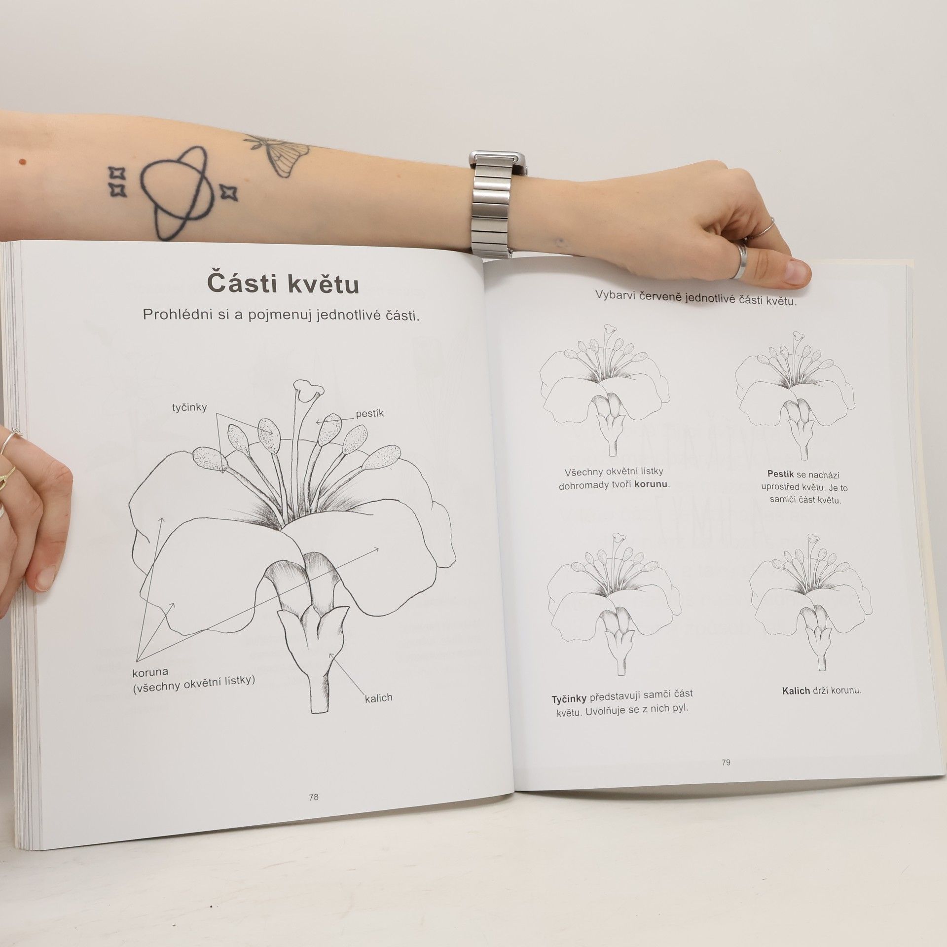 Ève Herrmann Montessori aktivity pro děti
