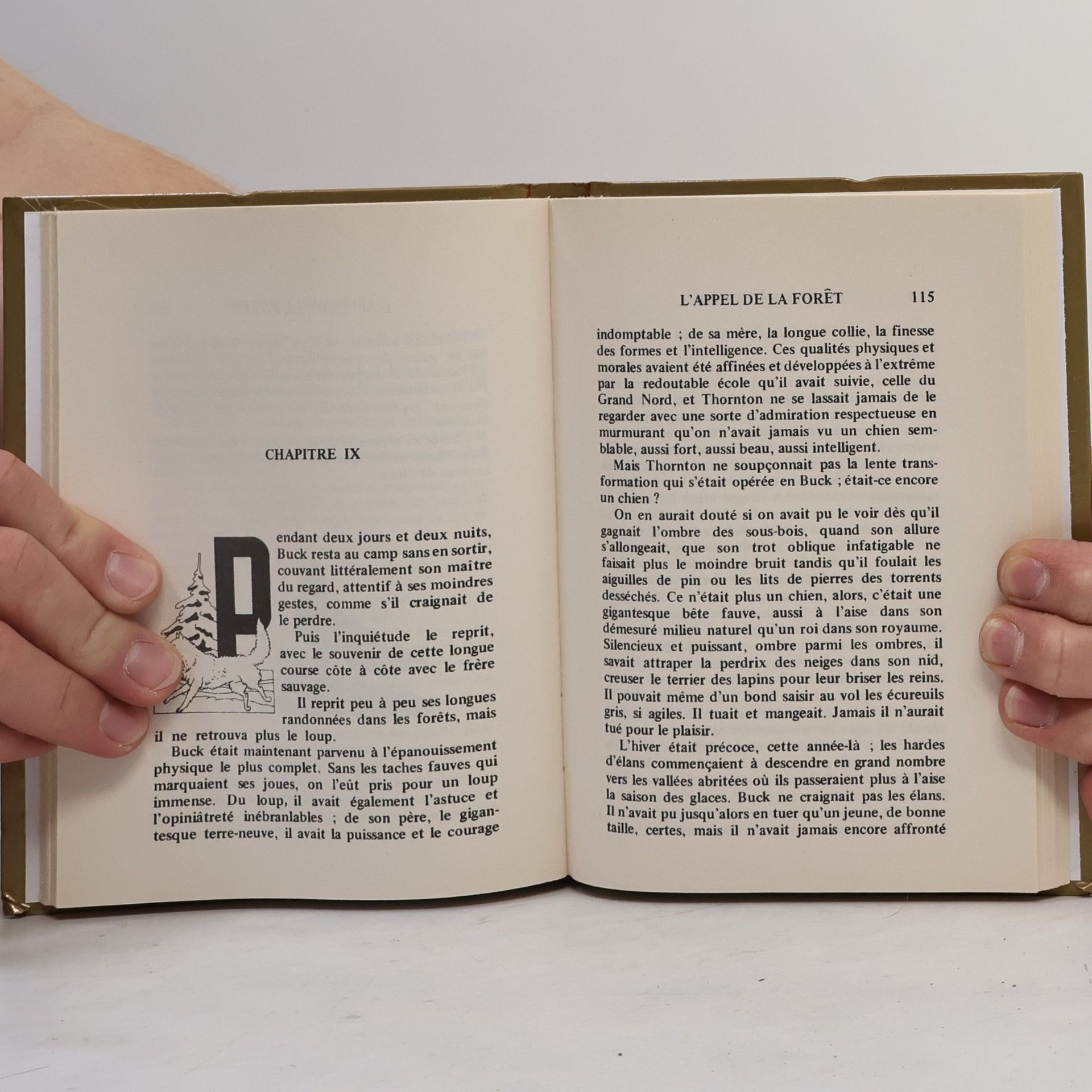 Jack London Bibliothèque Rouge et Or - 13: L'Appel de la forêt