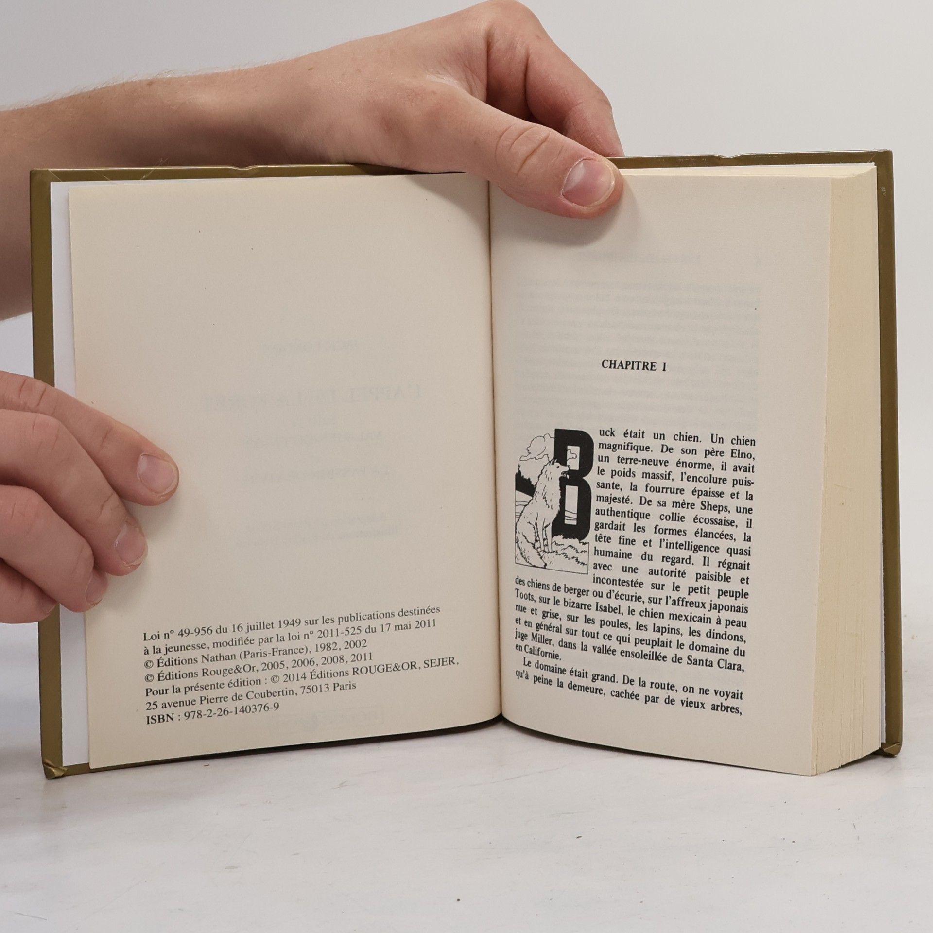 Jack London Bibliothèque Rouge et Or - 13: L'Appel de la forêt