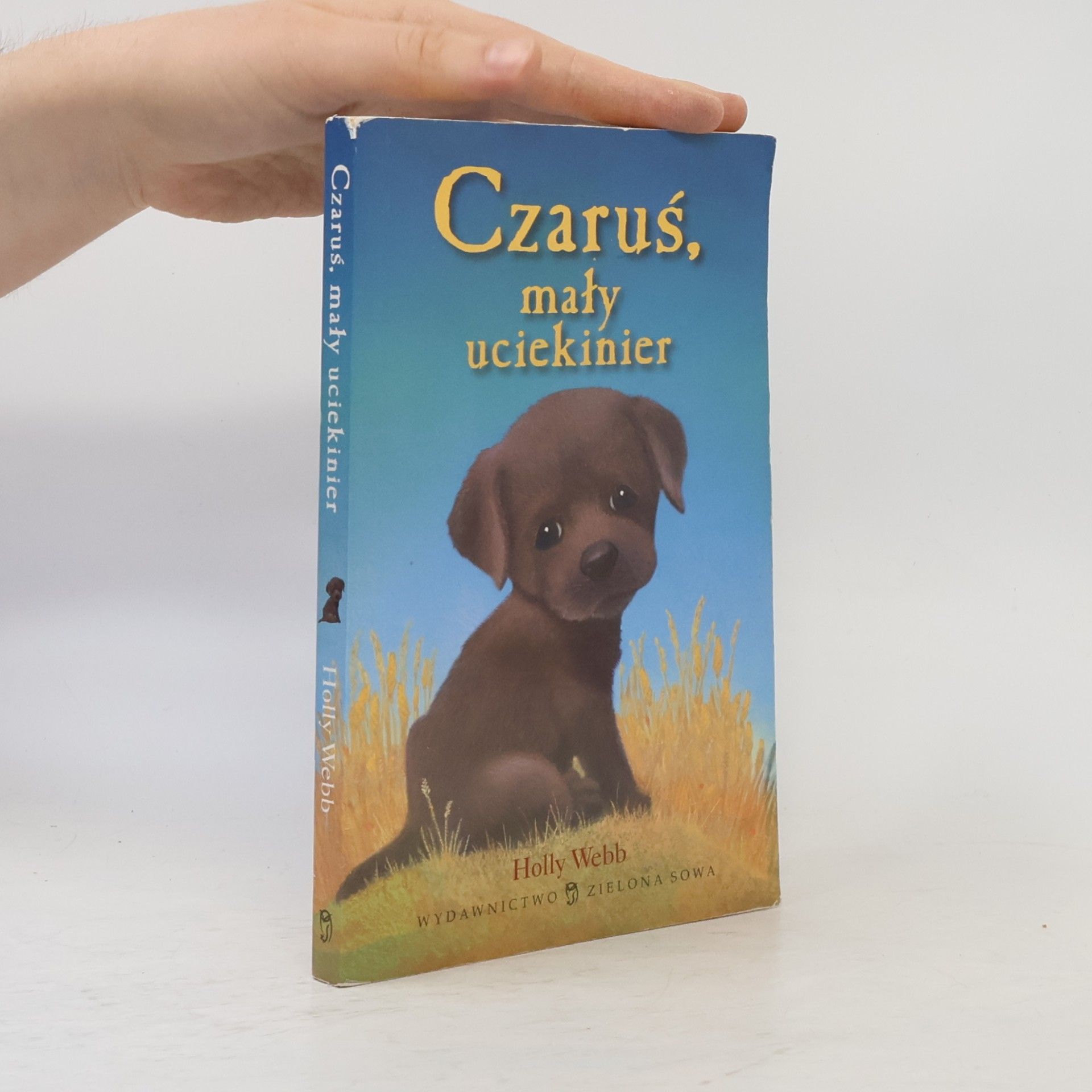 Jacek Drewnowski Czaruś, mały uciekinier