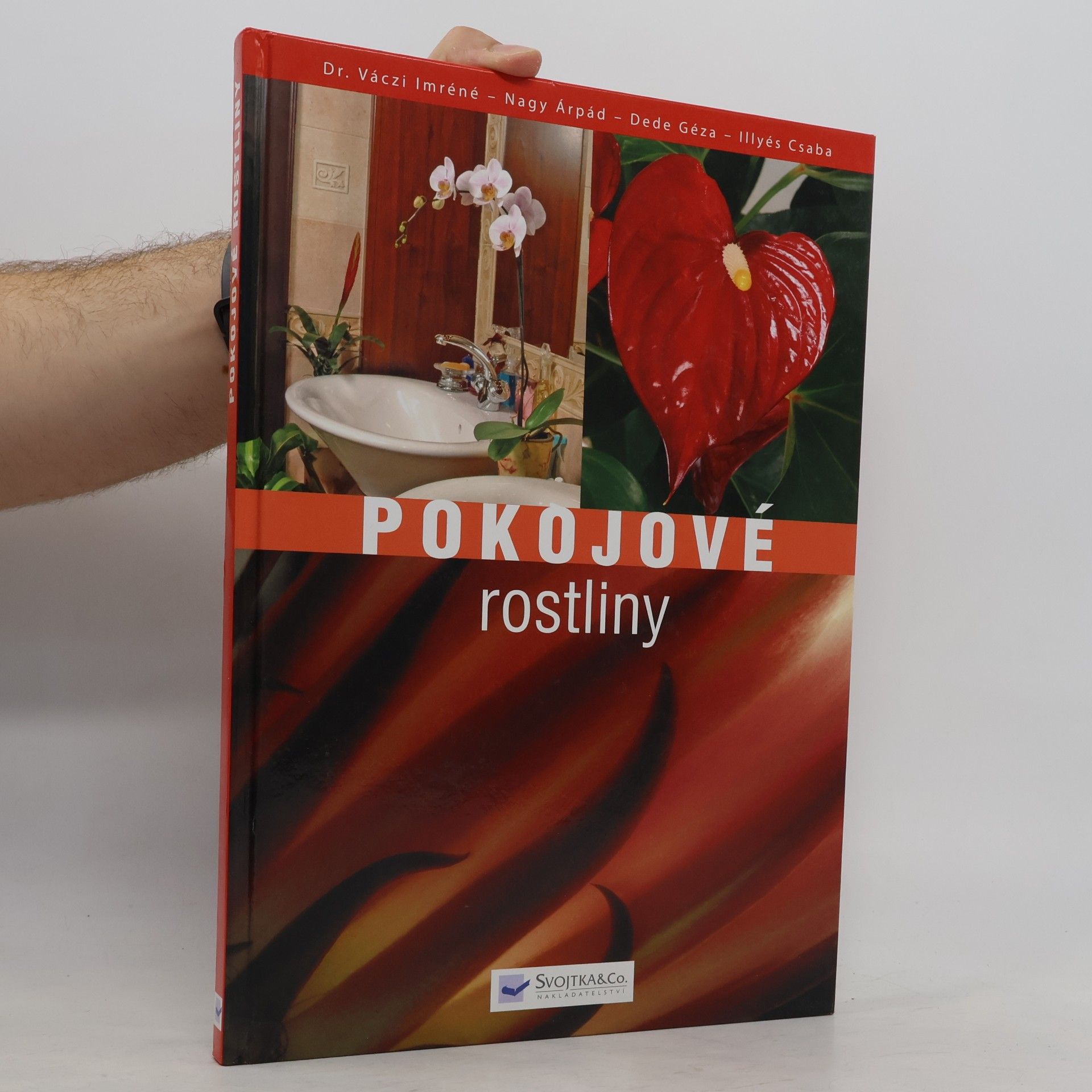 Imréné Váczi Pokojové rostliny
