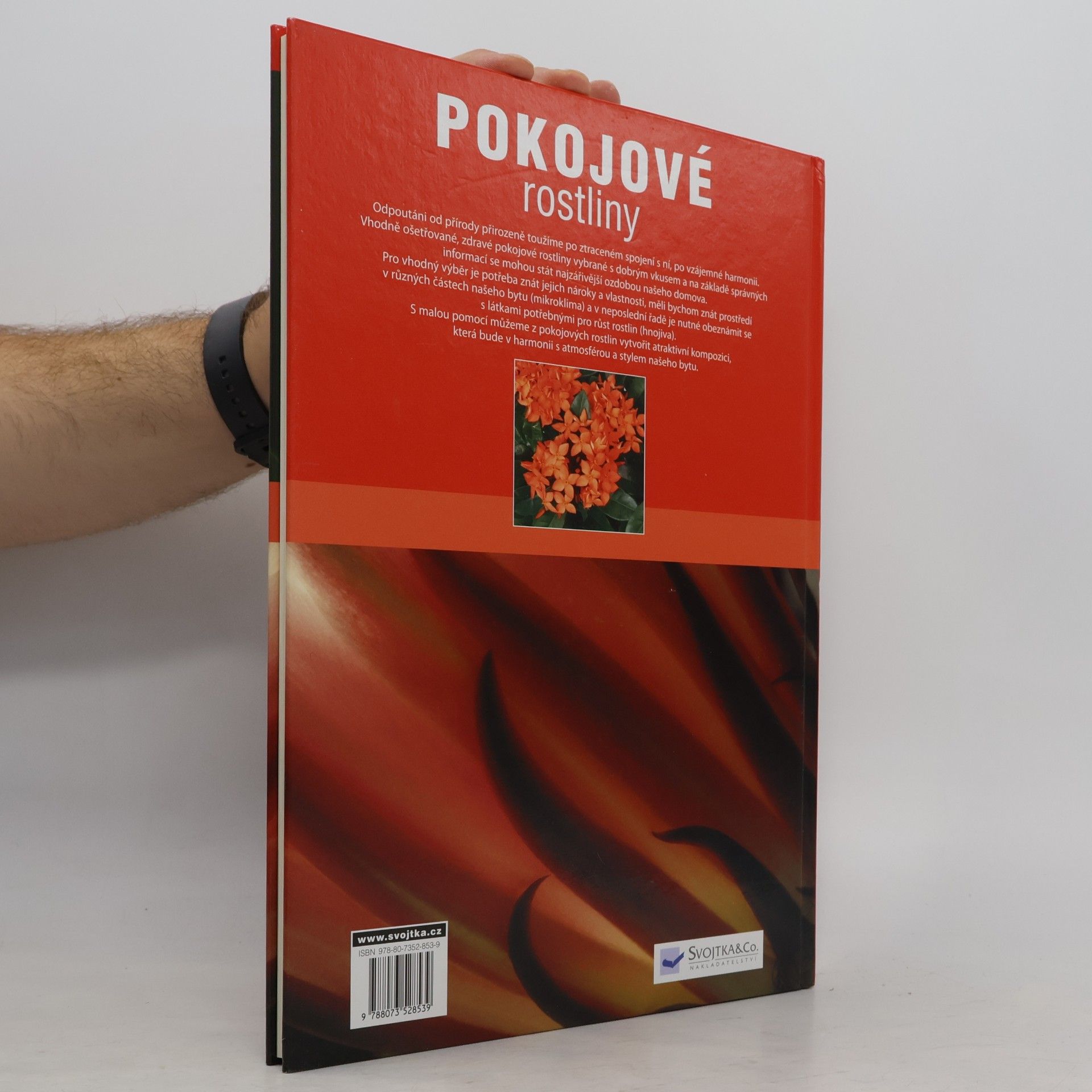 Árpád Nagy Pokojové rostliny