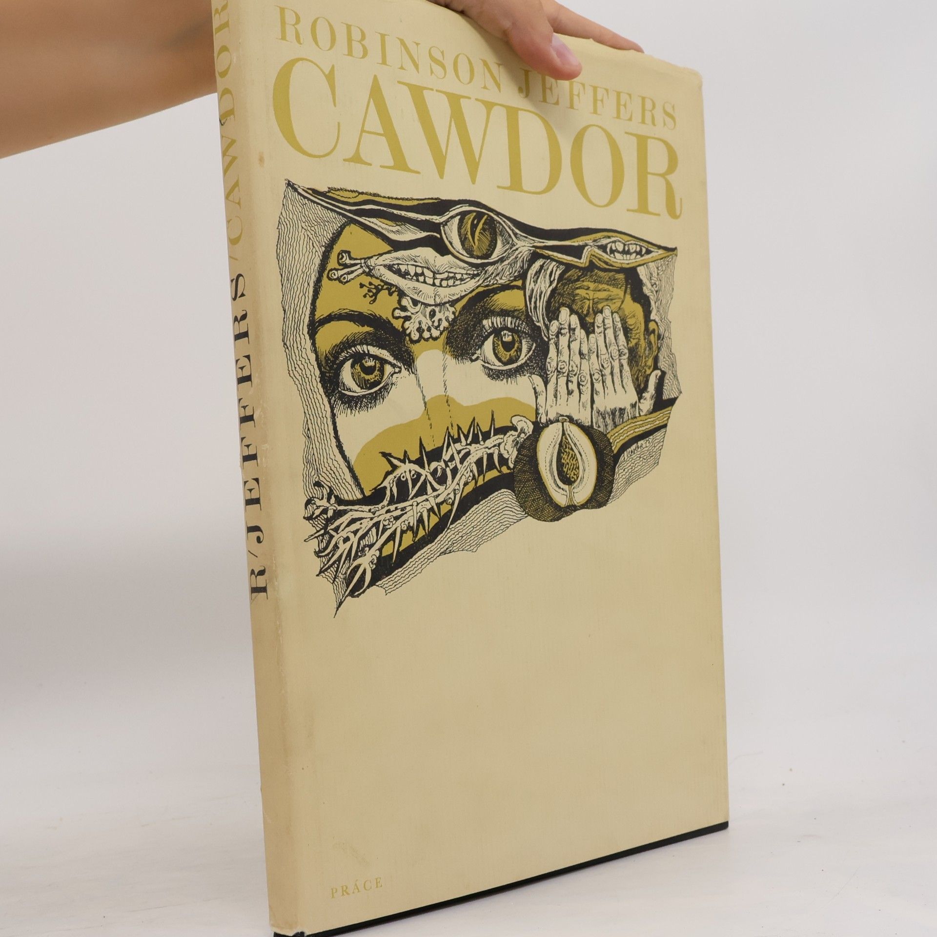 Robinson Jeffers Cawdor