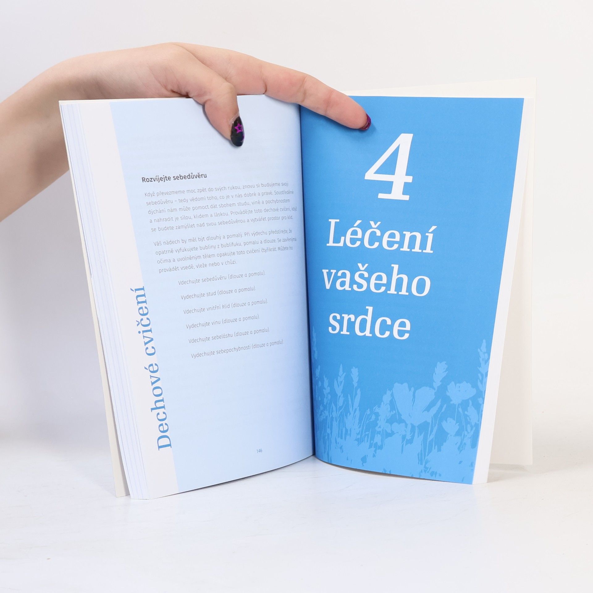 Alexandra Elle Jak se léčíme - Objevte svou vnitřní sílu a osvoboďte se