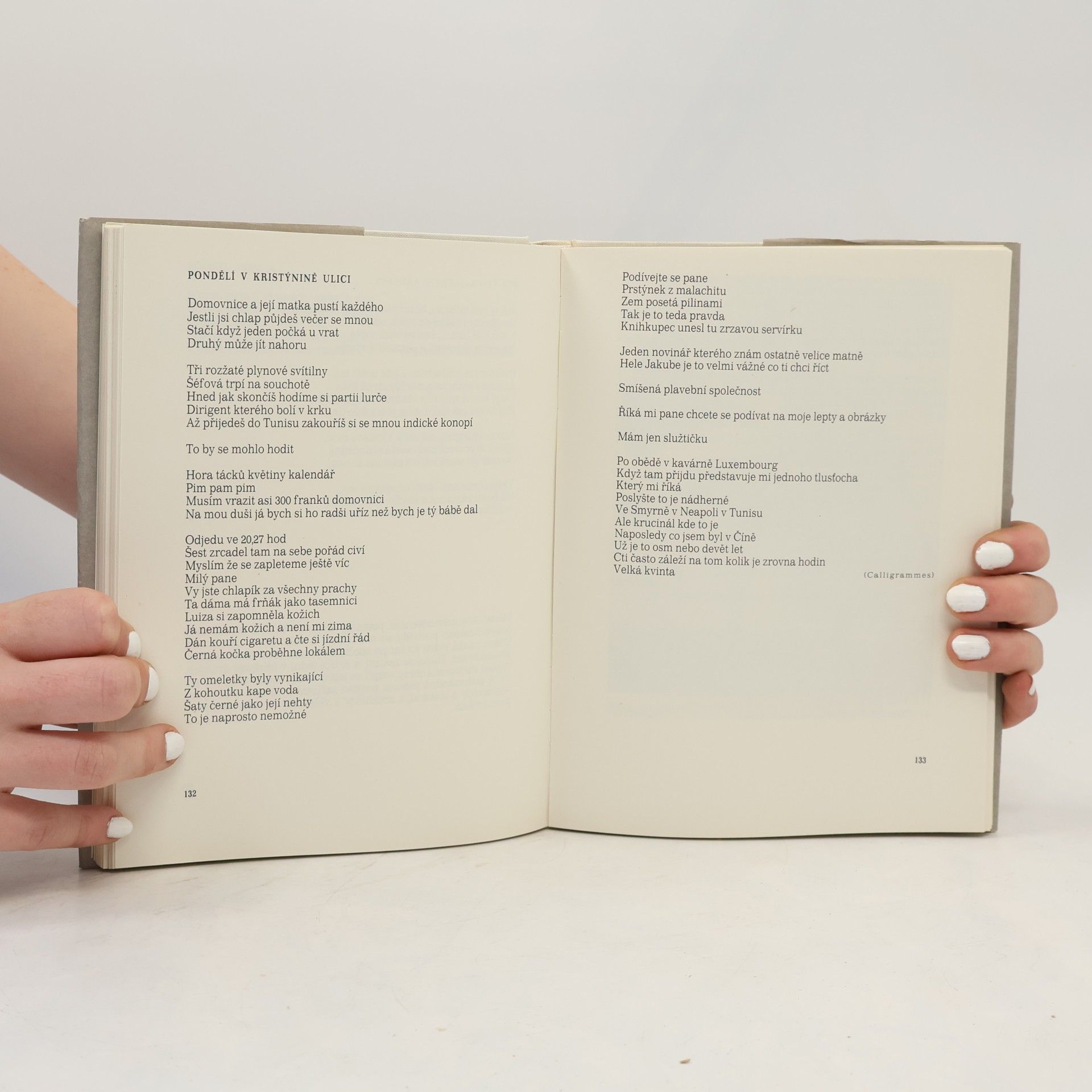 Guillaume Apollinaire Hudebník ze Saint-Merry