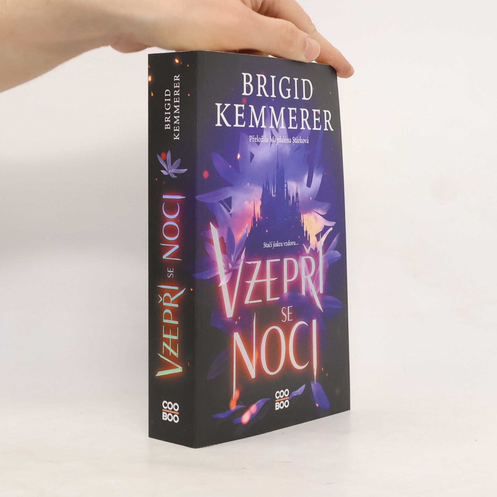 Brigid Kemmerer Vzepři se noci