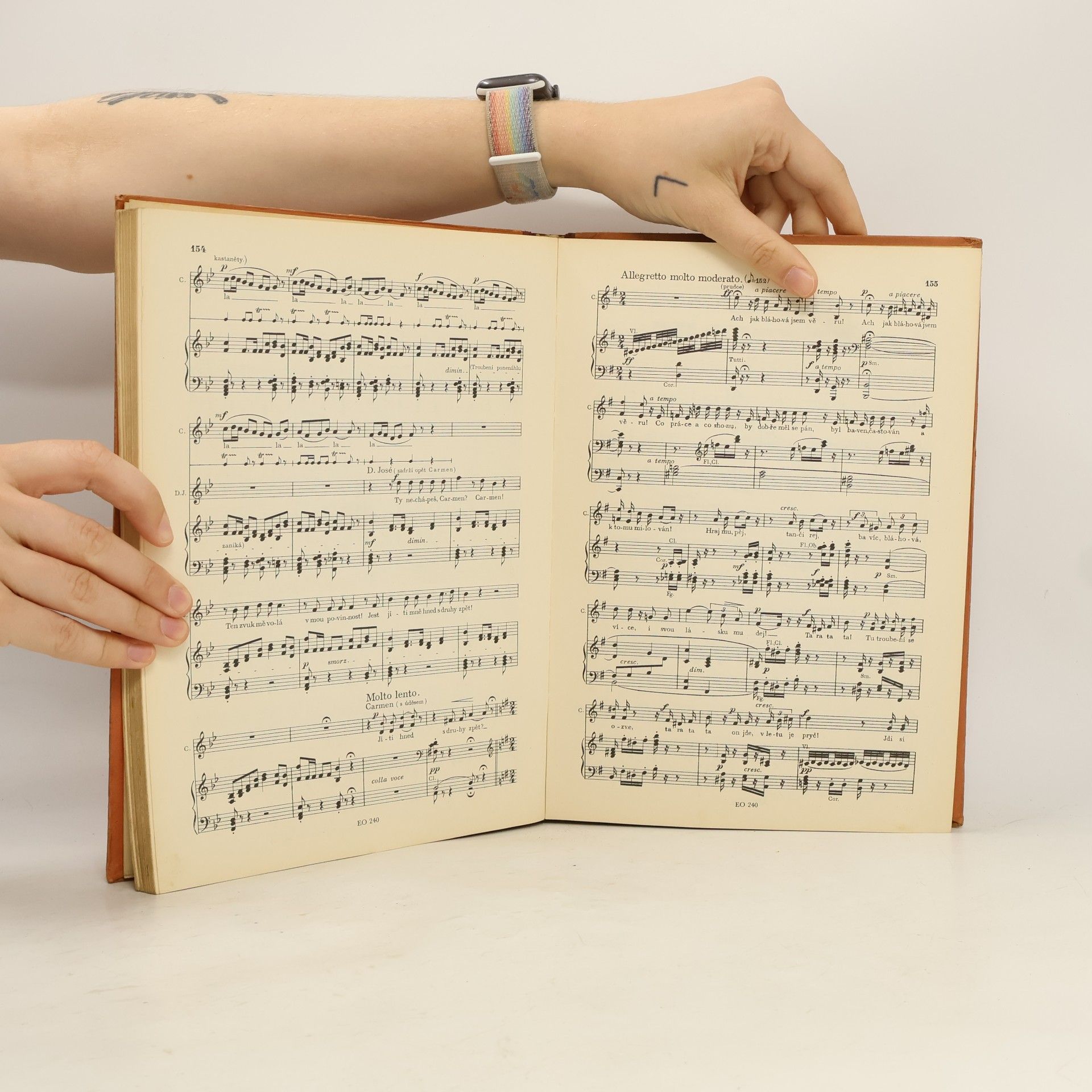 Georges Bizet Carmen