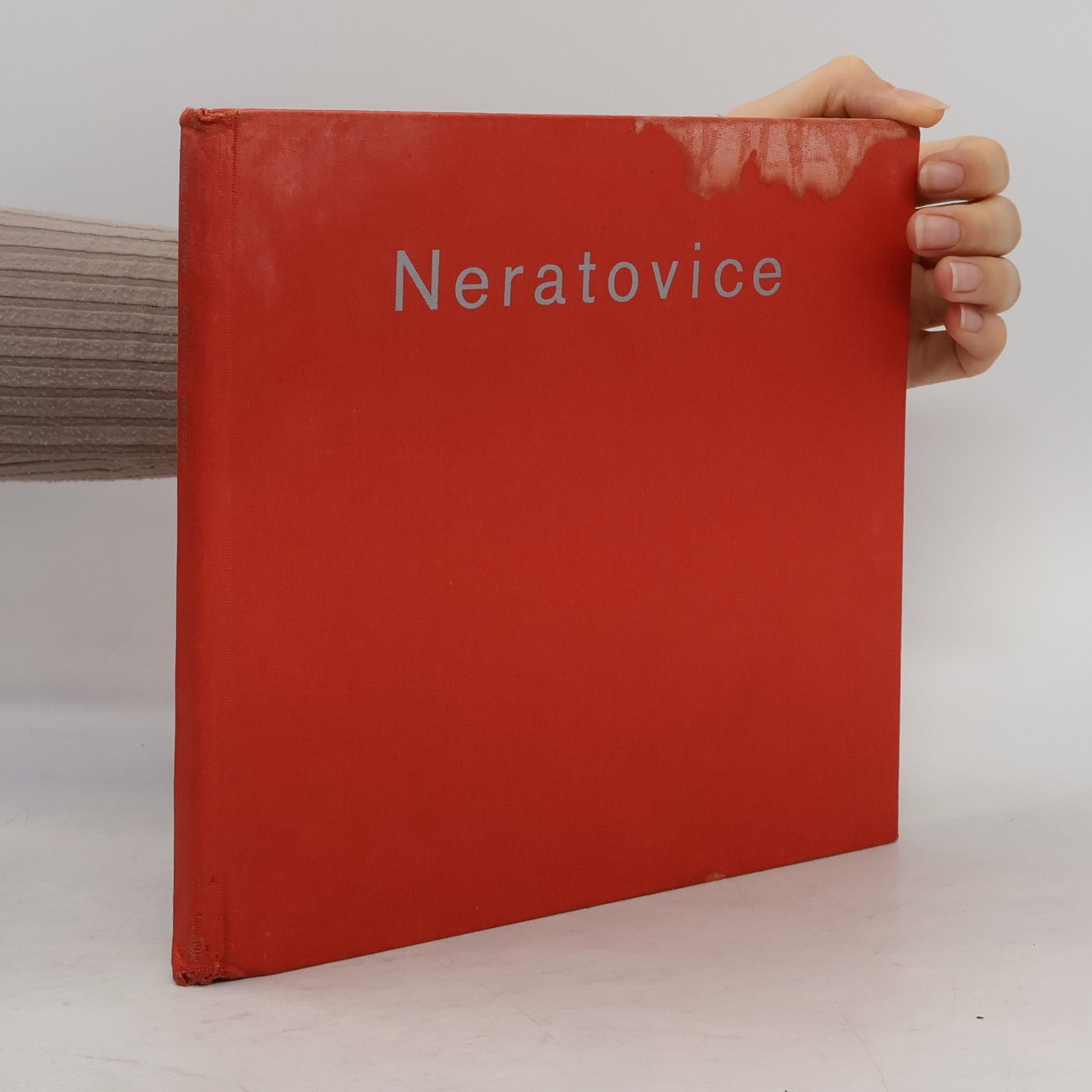 Jaroslav Litomiský Neratovice