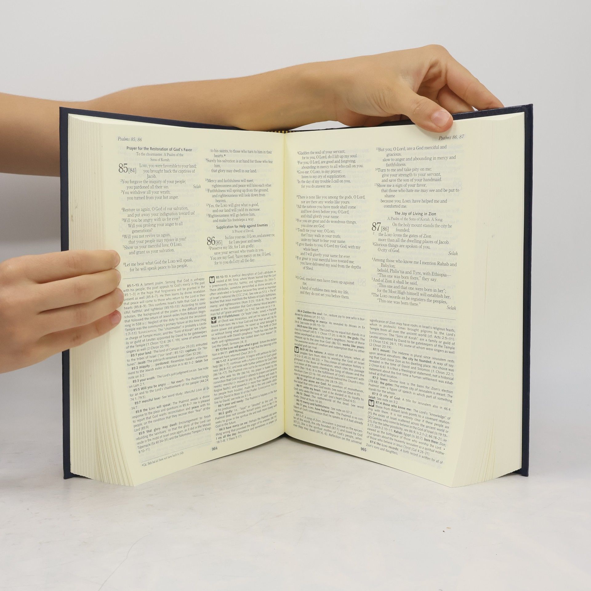 Curtis Mitch Ignatius Catholic Study Bible