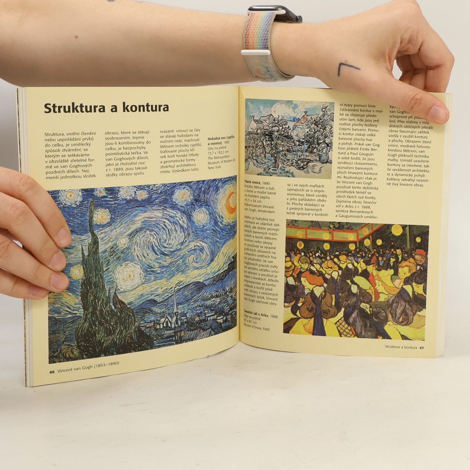 Dieter Beaujean Vincent van Gogh. Život a dílo