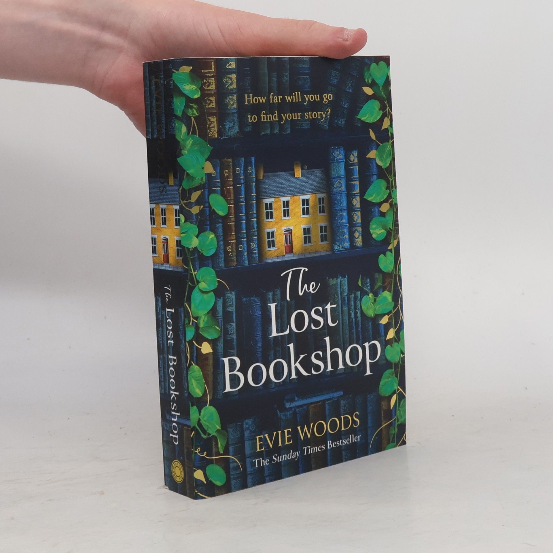 Evie Woods The Lost Bookshop