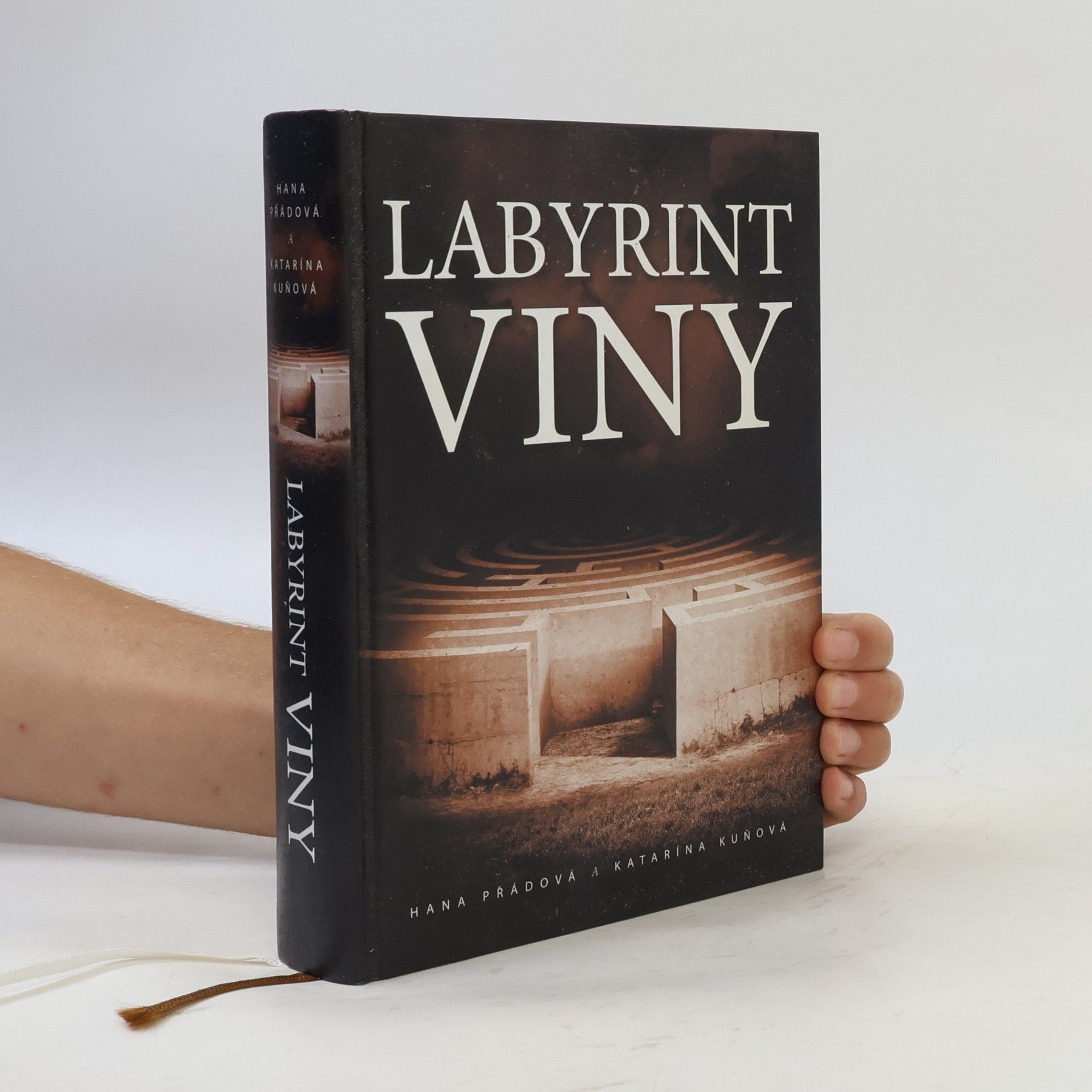 Katarína Kuňová Labyrint viny