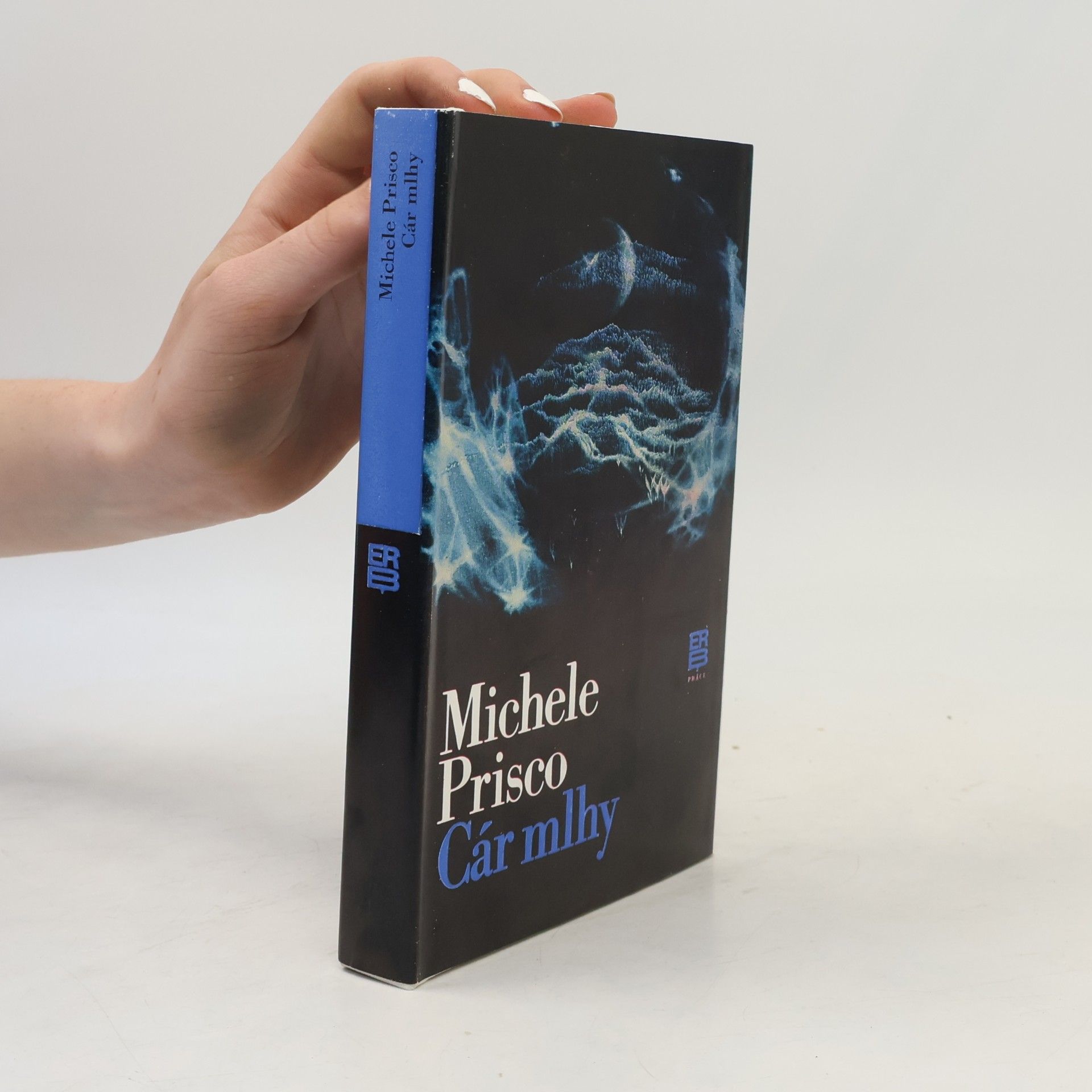 Michele Prisco Cár mlhy