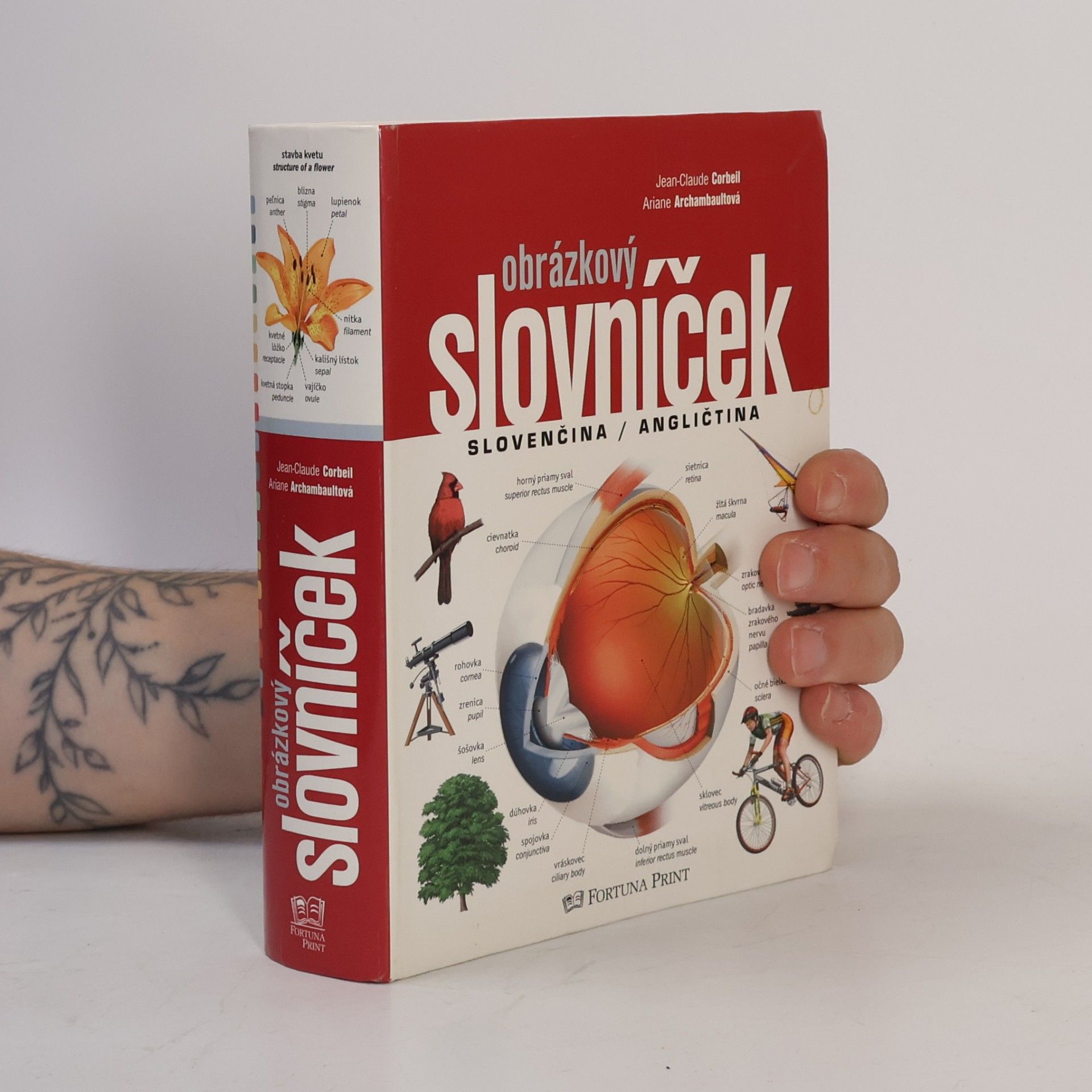 Jean-Claude Corbeil Obrázkový slovníček, Slovenčina / Angličtina