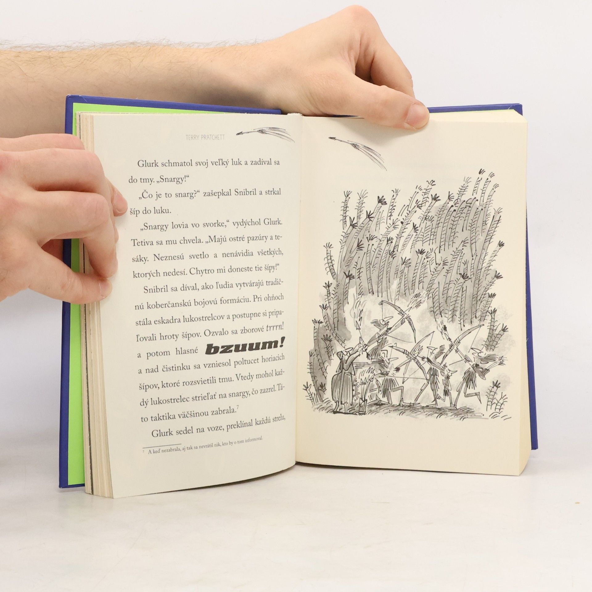 Terry Pratchett Draky zo Strašihradu