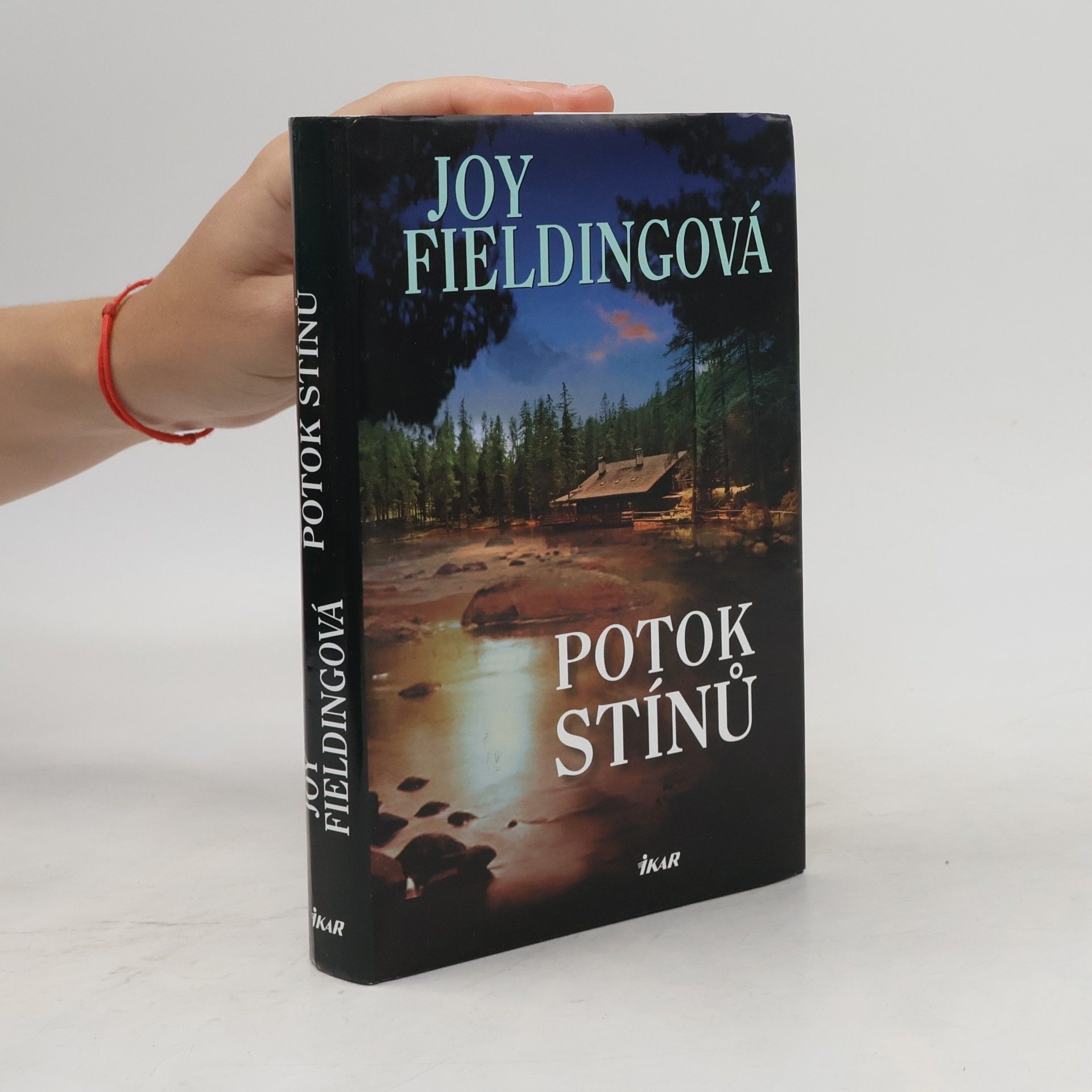 Joy Fielding Potok stínů